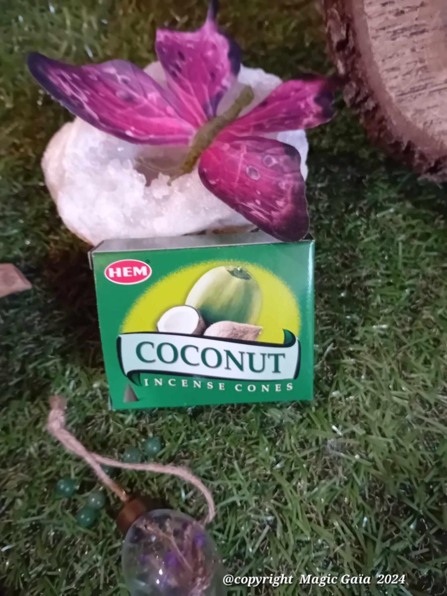 Encens-cones-noix-de-coco-Magic-Gaia-zoom