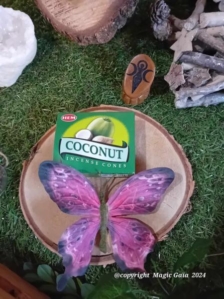 Encens-cones-noix-de-coco-Magic-Gaia-big