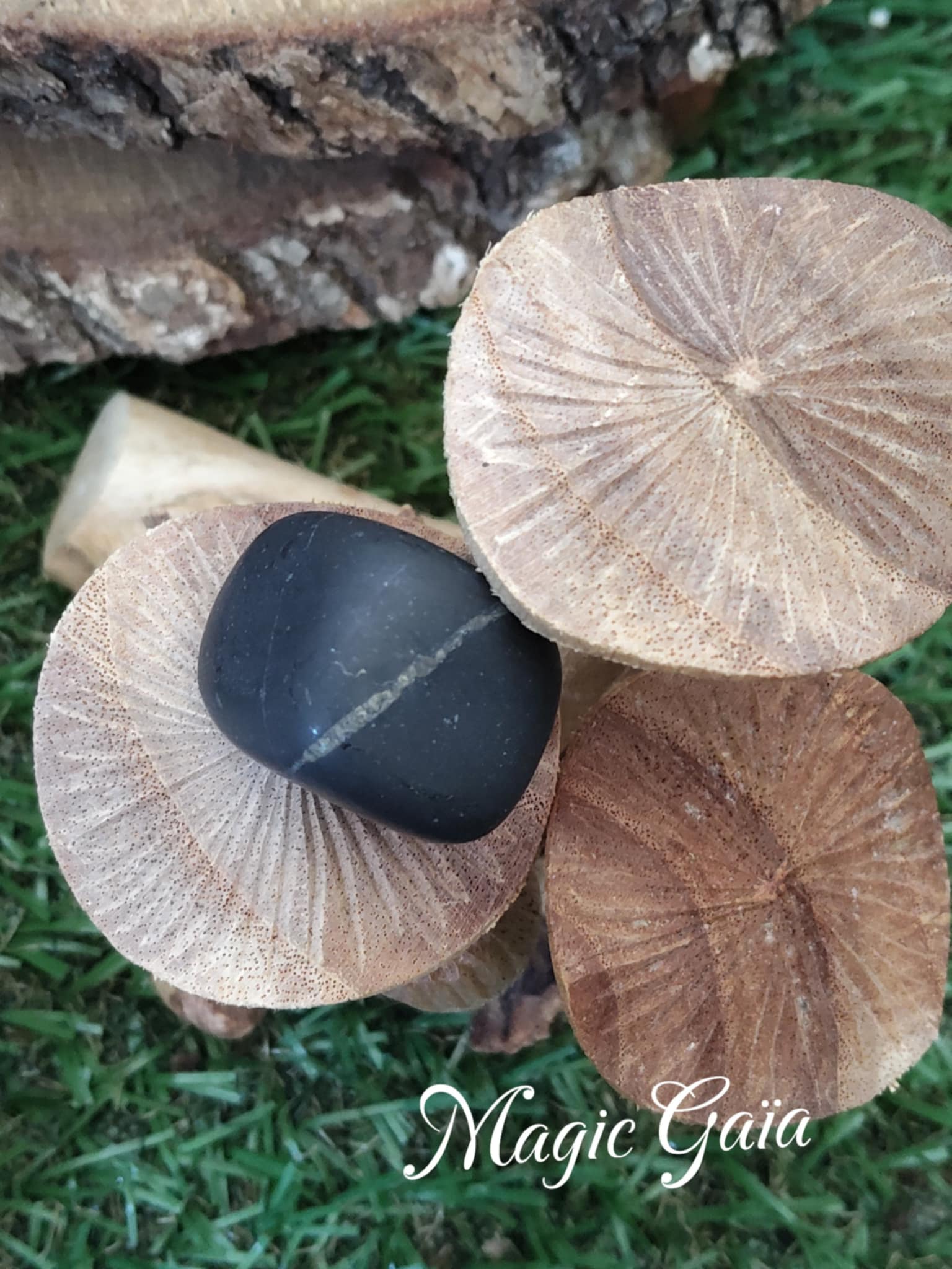 shungite pierre roulée ancrage ondes électromagnétiques chakras russie compteur linky box internet protection mauvaises fréquentations  bienfait lithothérapie vertus  magic gaia