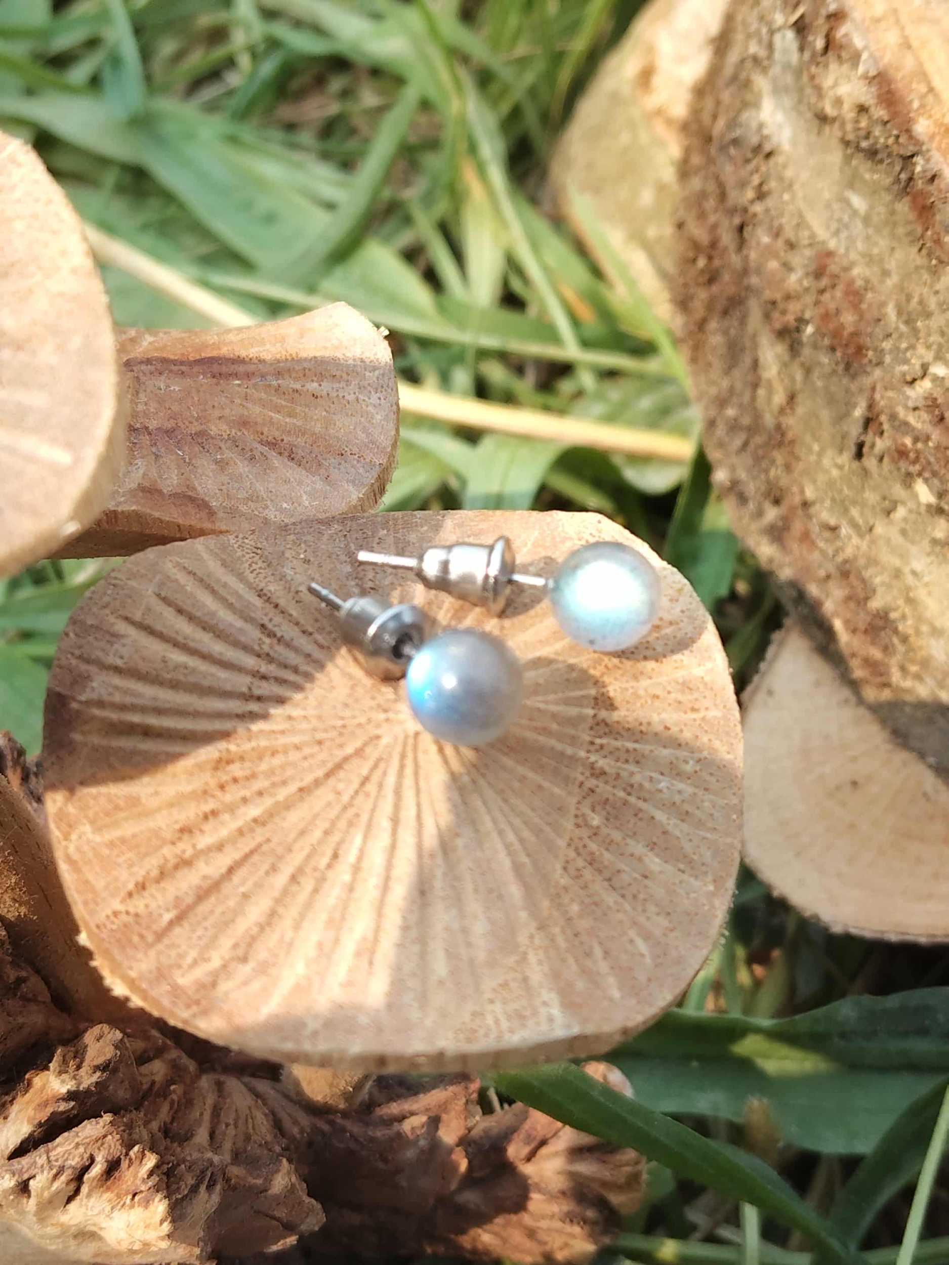 Clous d’oreilles Labradorite 6 mm, inox 304 hypoallergénique, reflets bleutés, décor champignon