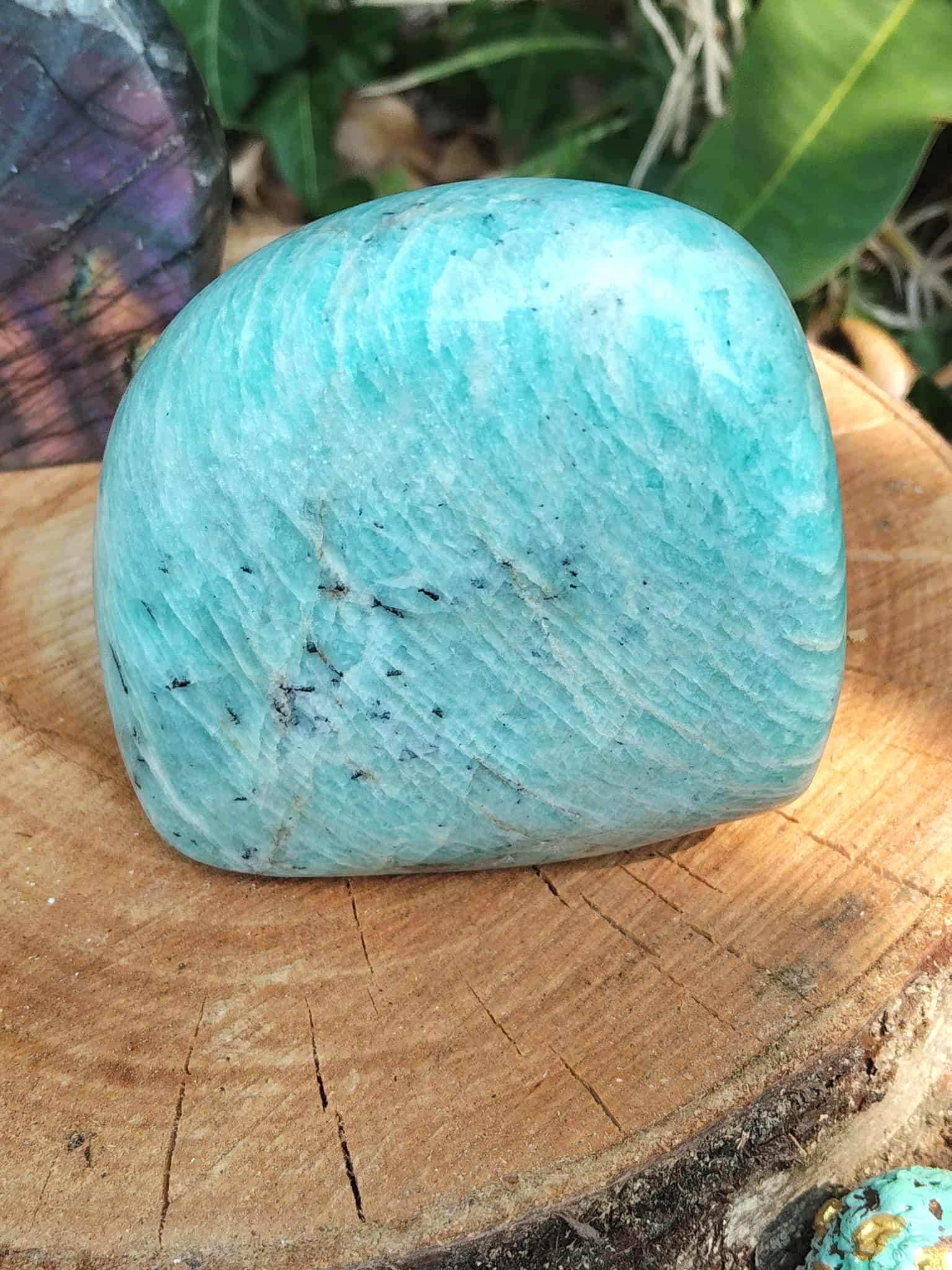 Forme libre amazonite bleu-vert, texture fibreuse, posé sur tranche de bois; arrière-plan nature — apaisement et communication douce.