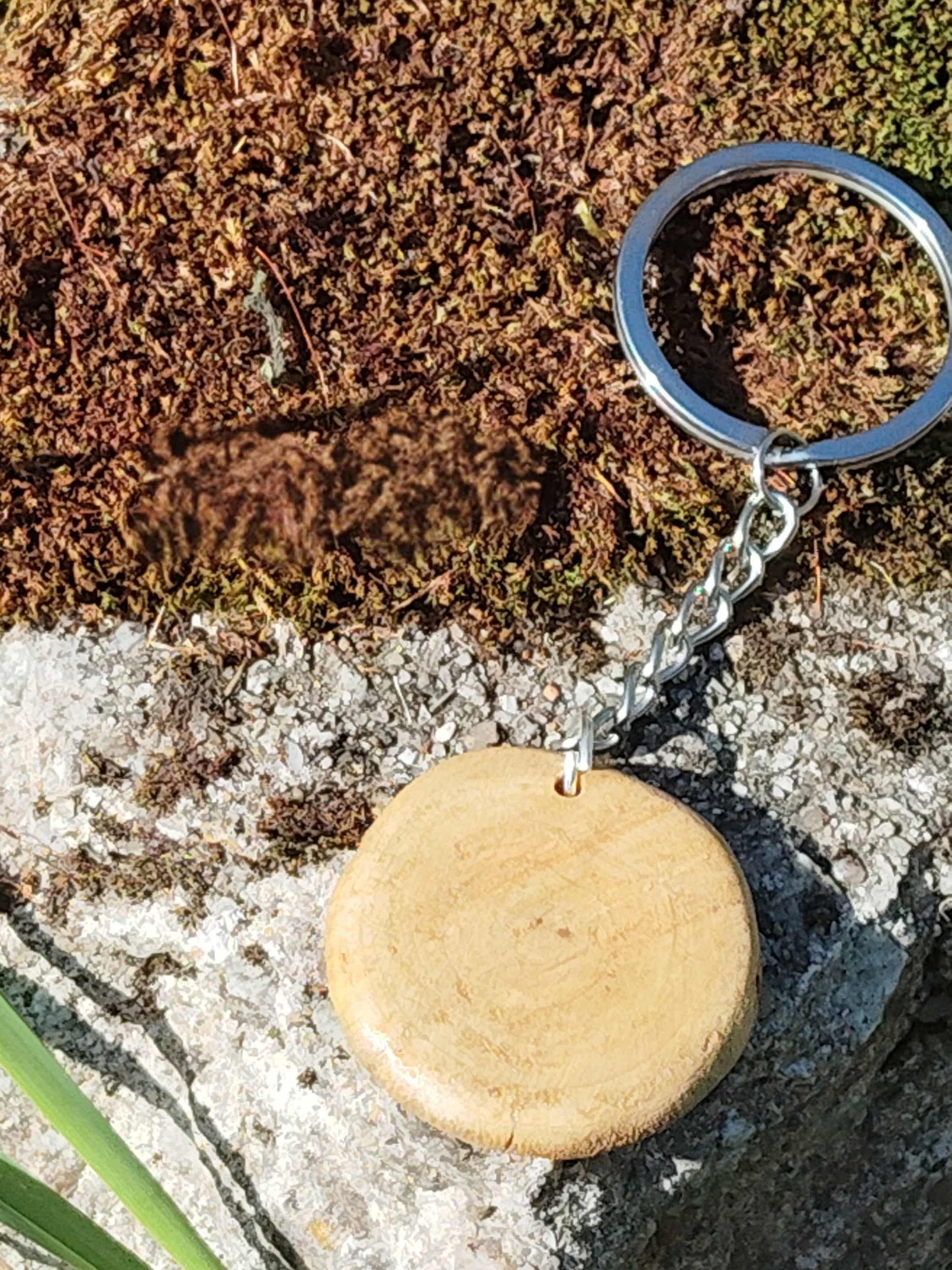 Dos du porte-clés en bois rond, surface lisse, anneau métallique sur rocher et mousse.