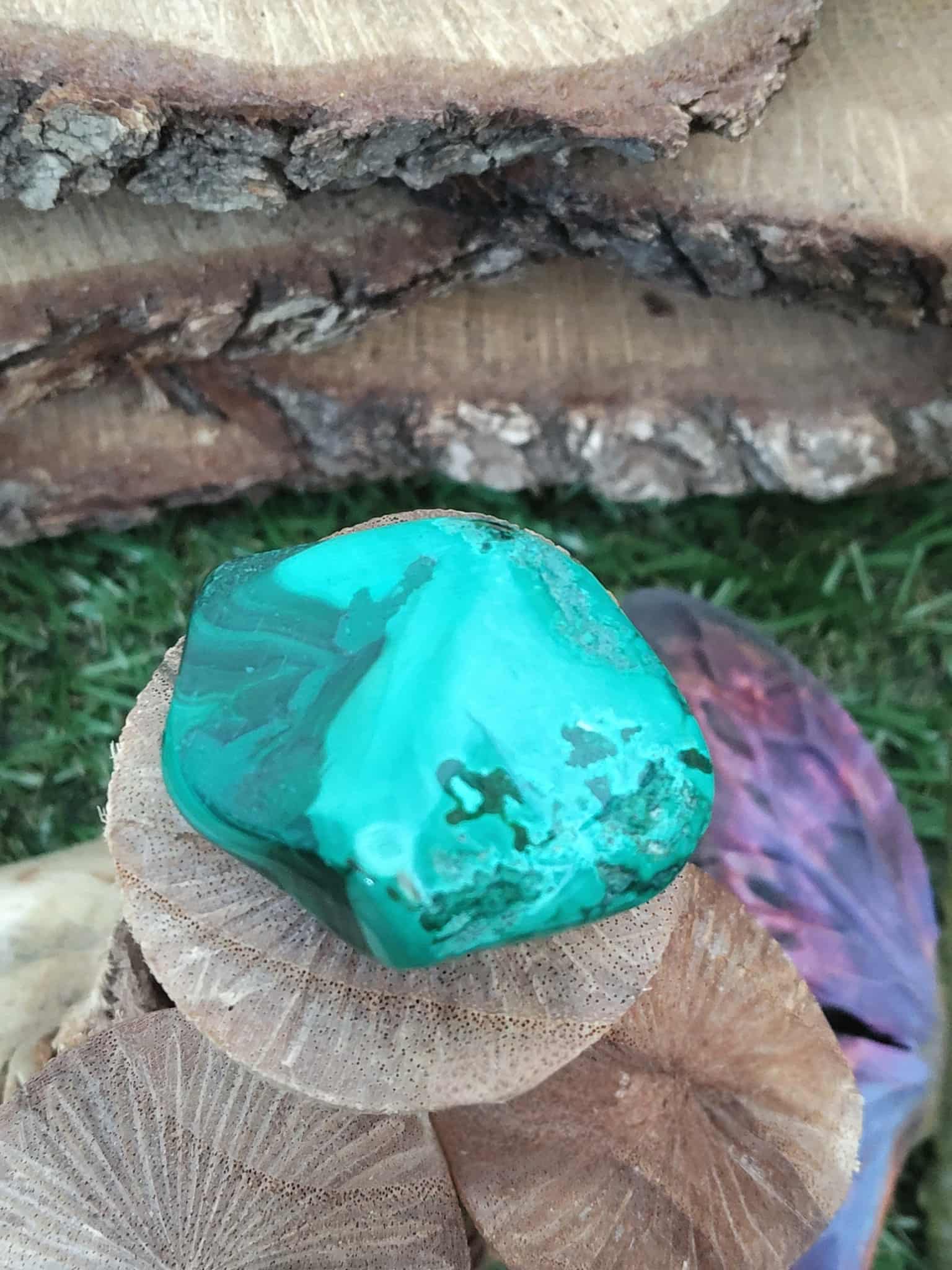Pierre roulée de malachite, veines sombres visibles, décor nature (bûches, herbes) — calme intérieur, volonté, clarification du mental, chakra coeur