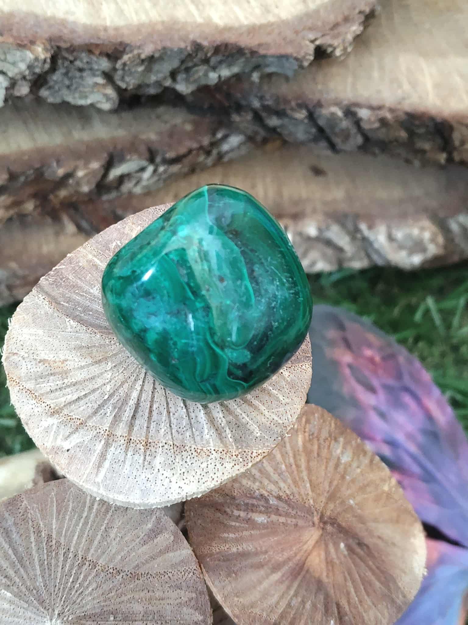 Pierre roulée en malachite verte veinée, gros plan, posée sur de petits champignons secs, fond bois flou