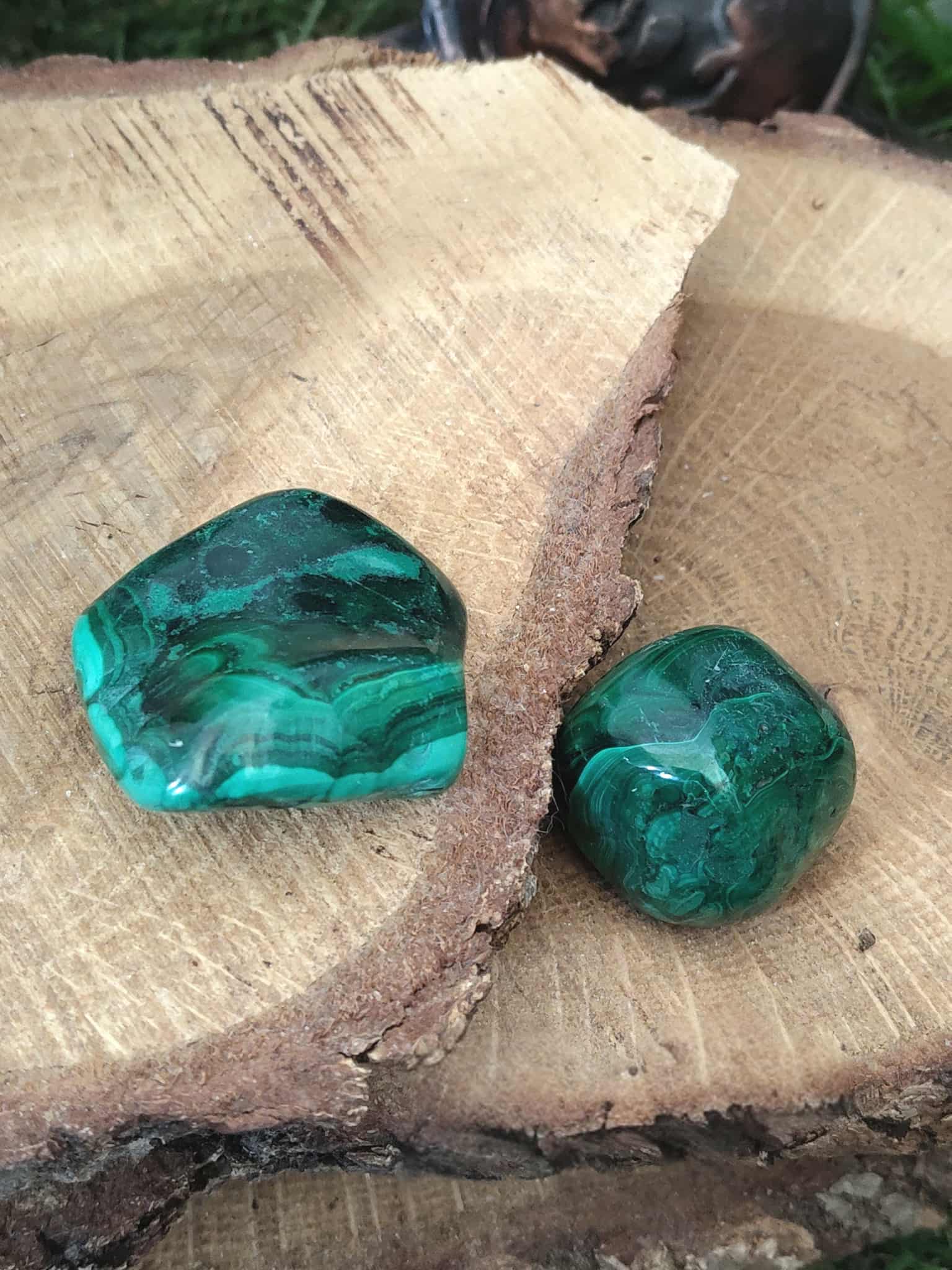 Duo de malachites vert bandé sur rondins de bois — veines concentriques, protection, transformation, équilibre émotionnel