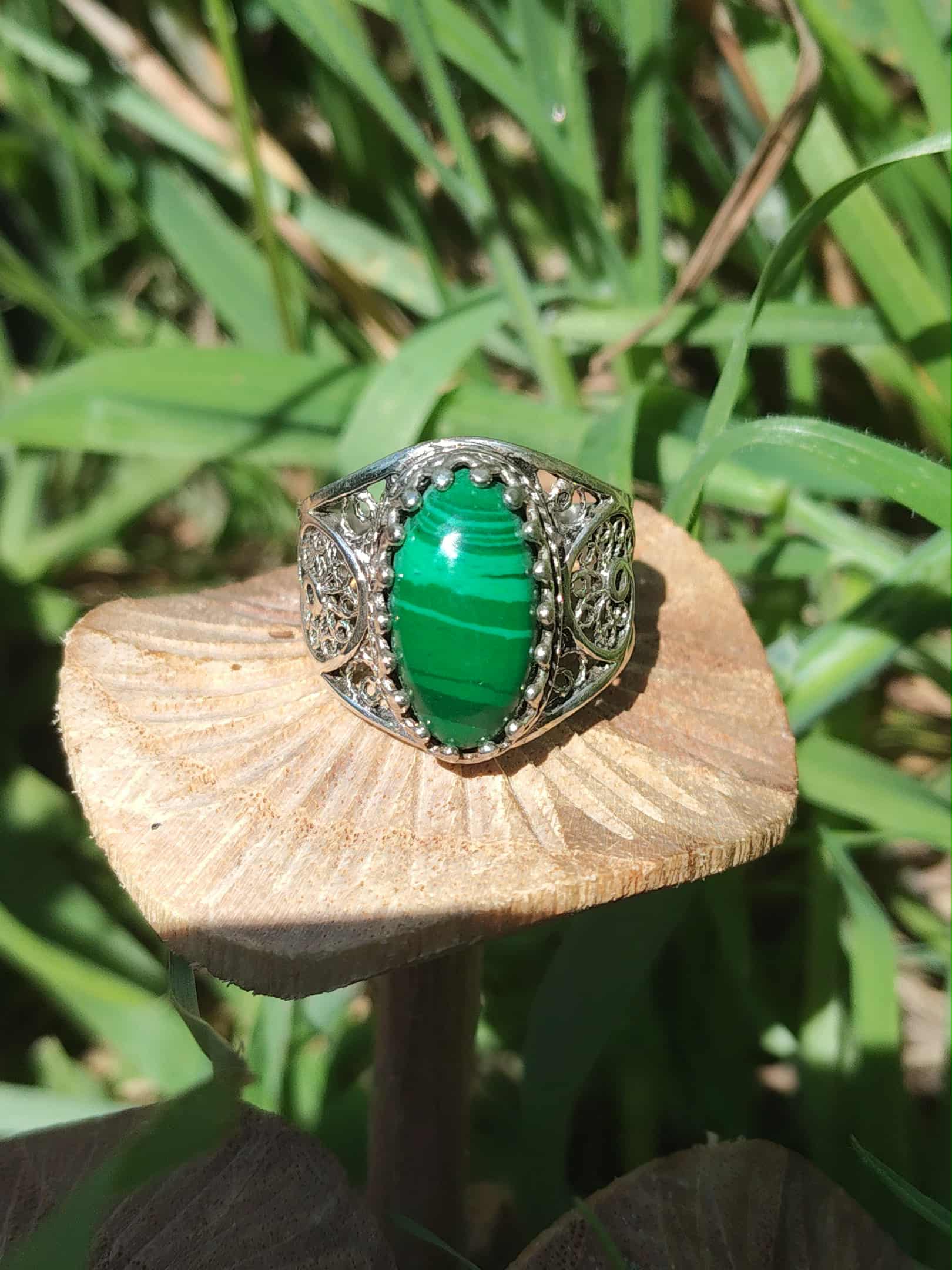 Bague artisanale en argent 925, cabochon de malachite posée sur champignon, herbes en arrière-plan — protection et transformation intérieure (lithothérapie)