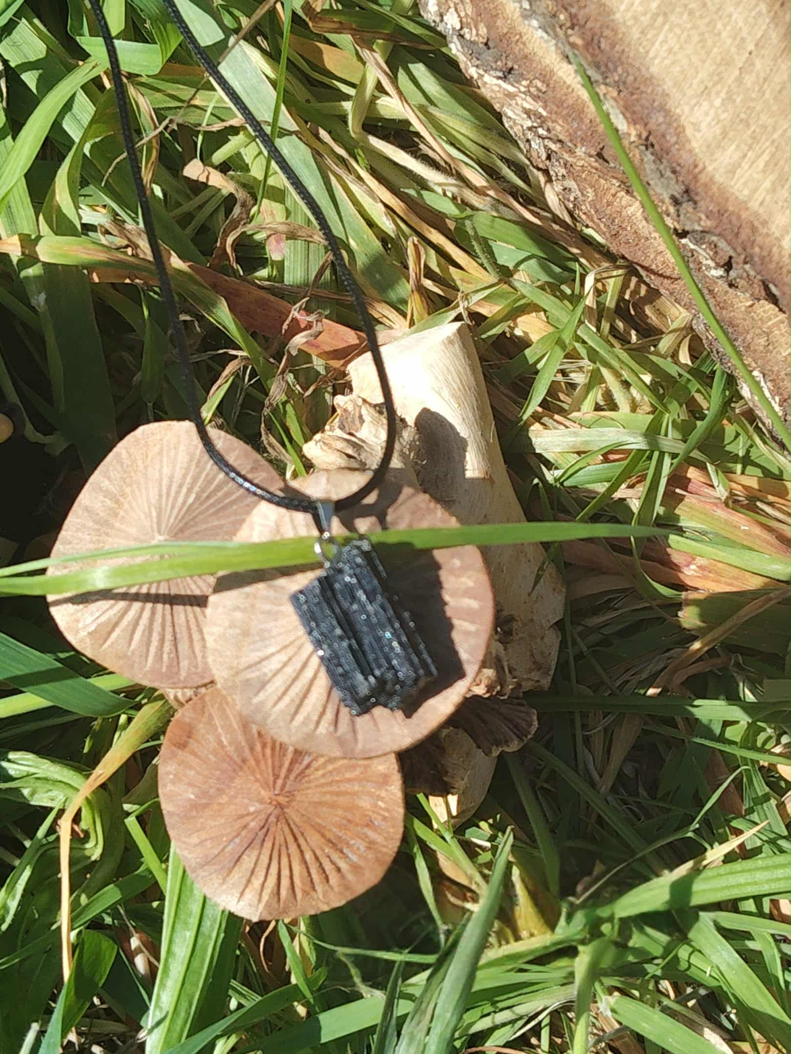 Pendentif tourmaline noire brute suspendu sur champignons en décor forêt, bijou en pierre naturelle évoquant l’enracinement, la vigilance et la solidité émotionnelle.