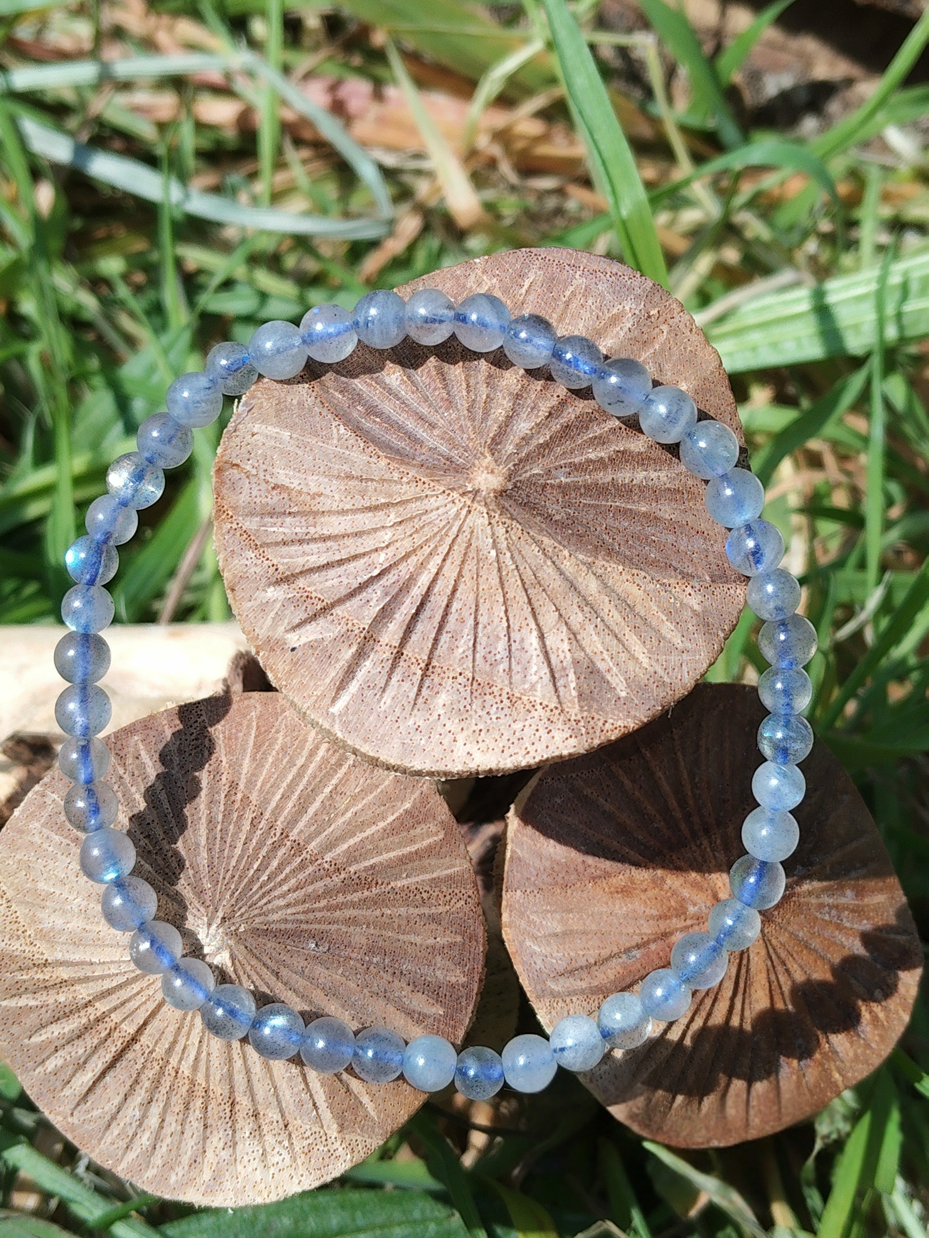 Bracelet labradorite 4 mm sur champignons en bois, perles gris bleuté aux reflets bleus pour protection douce, intuition calme et ancrage léger