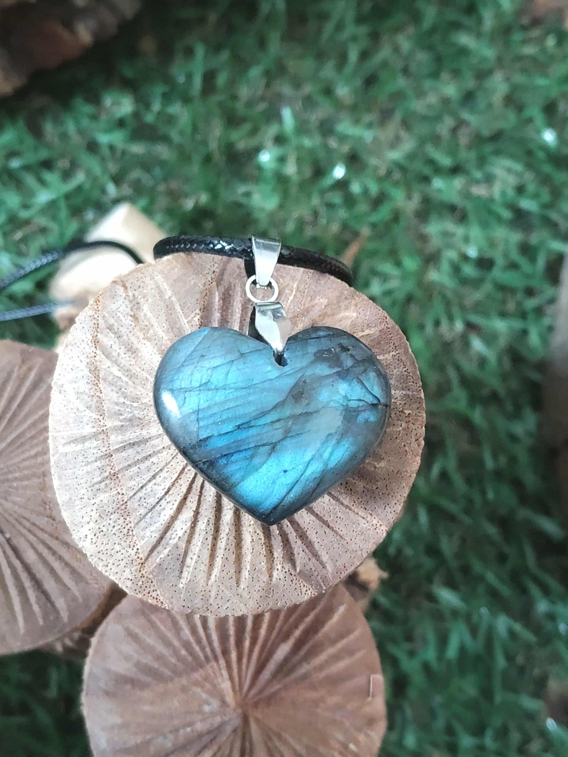 Pendentif cœur en labradorite bleue sur cordon noir, décor nature avec champignon, bijou pierre naturelle évoquant le discernement, l’ancrage et la tranquillité intérieure.