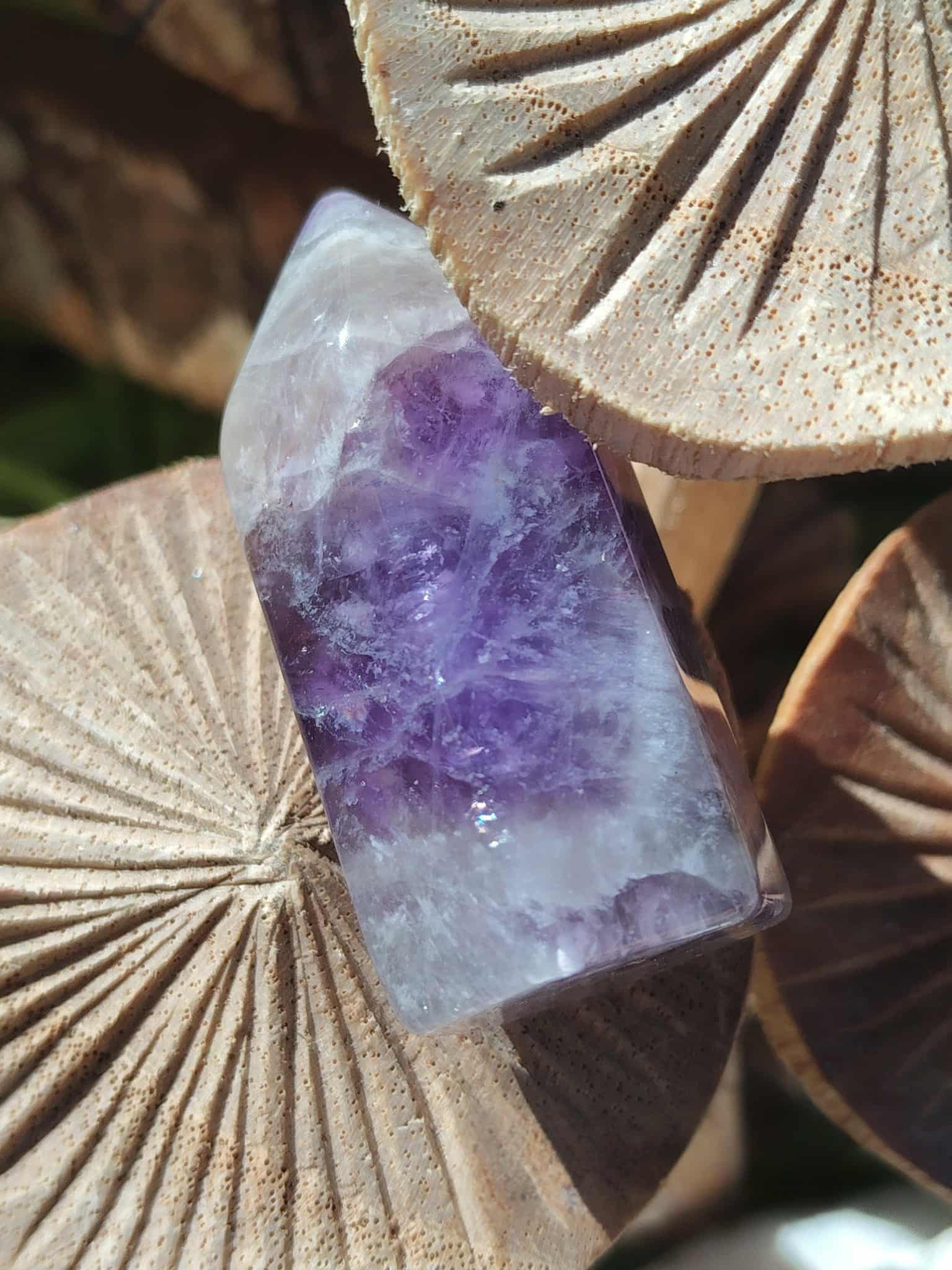 Petite pointe d’améthyste violette posée sur champignons en extérieur, pierre naturelle évoquant l’apaisement, le recentrage et la paix émotionnelle.