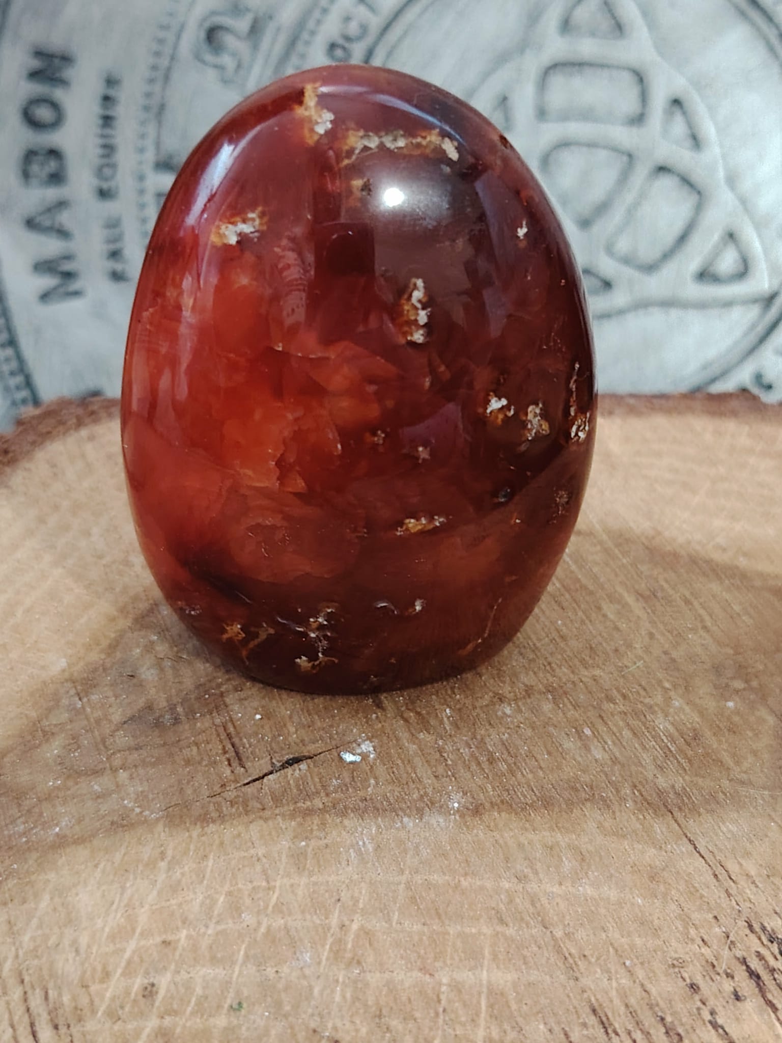 Forme libre Cornaline naturelle posée sur bois, pierre orange-rouge pour la lithothérapie – vitalité, créativité, confiance en soi.