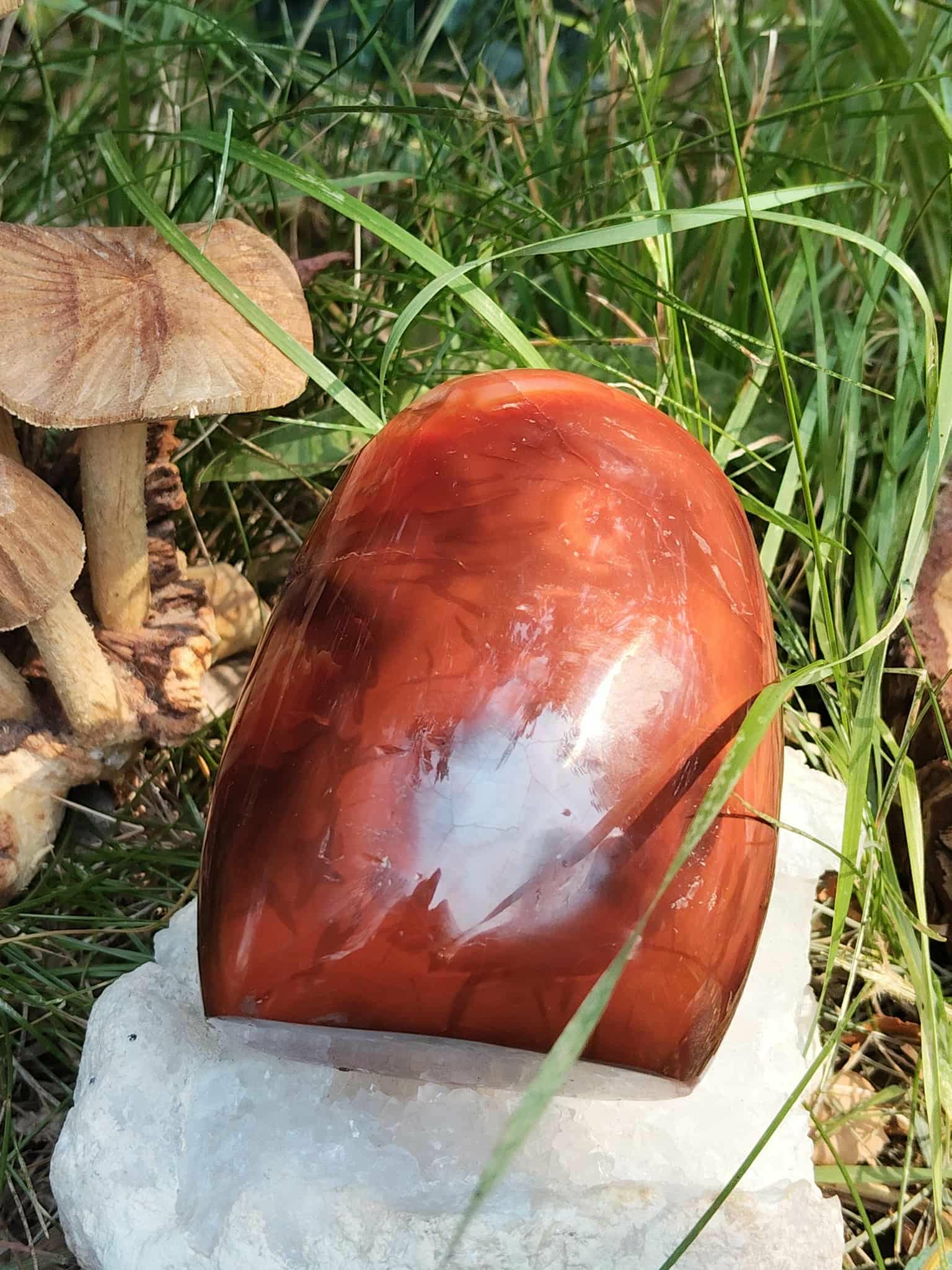 Forme libre Cornaline naturelle sur pierre blanche en nature, pierre orange-rouge pour la lithothérapie – vitalité, créativité, confiance en soi, chakra sacré.
