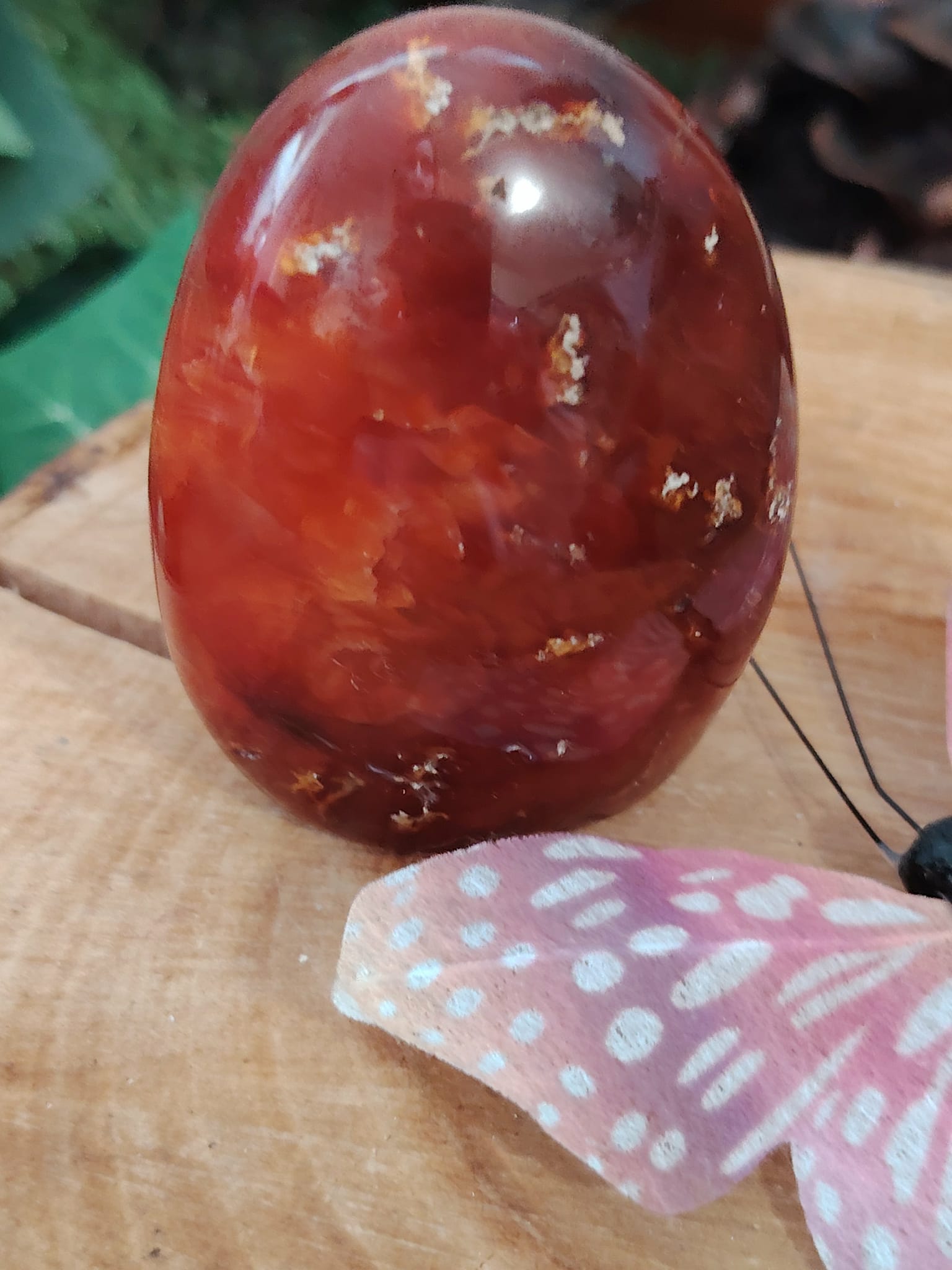 Forme libre Cornaline naturelle sur support bois avec décor féerique, pierre orange-rouge pour la lithothérapie – vitalité, créativité, confiance en soi.
