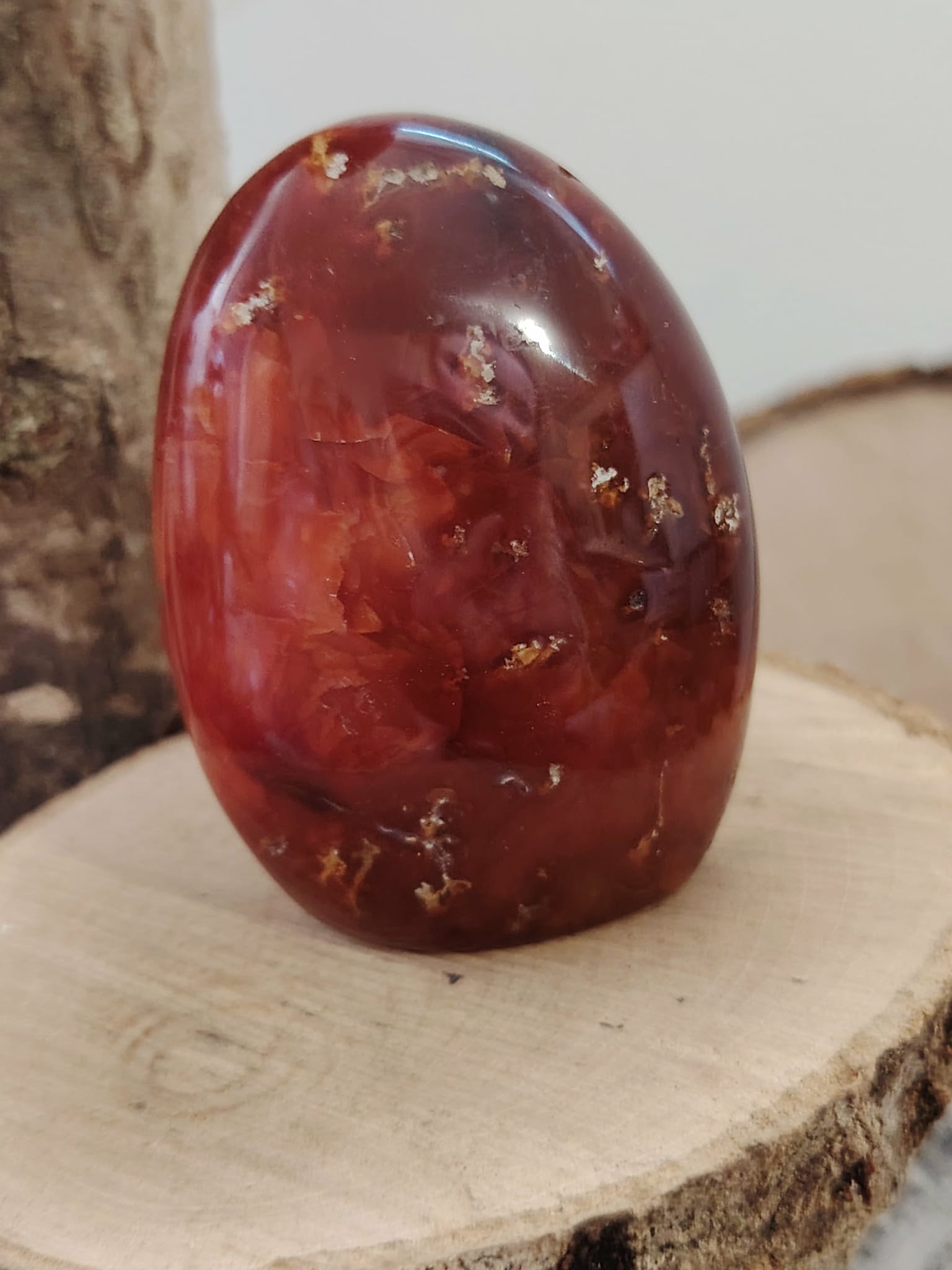 Forme libre Cornaline naturelle sur tranche de bois, pierre orange-rouge polie – soutien énergétique de vitalité, courage et équilibre du chakra sacré