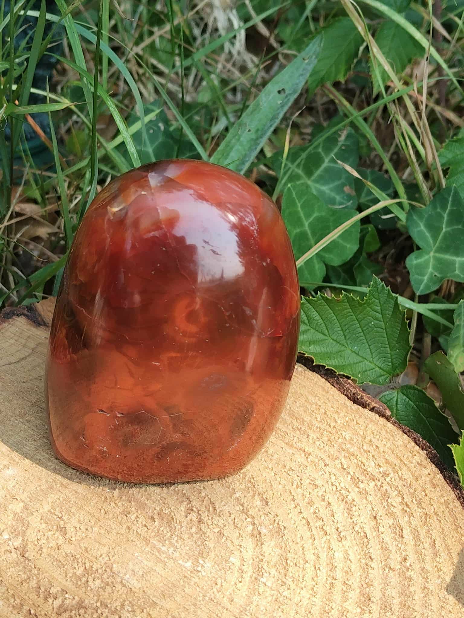 Forme libre Cornaline naturelle en extérieur sur bois, pierre orange-rouge pour la lithothérapie – vitalité, courage, énergie créative.