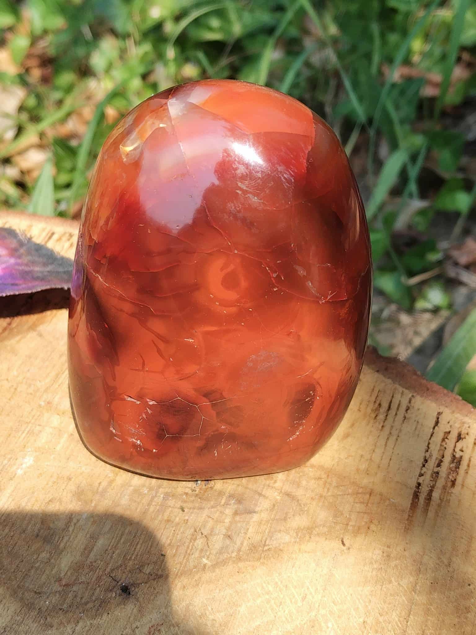 Forme libre Cornaline naturelle sur bois, pierre orange-rouge pour la lithothérapie – vitalité, créativité, confiance en soi, chakra sacré
