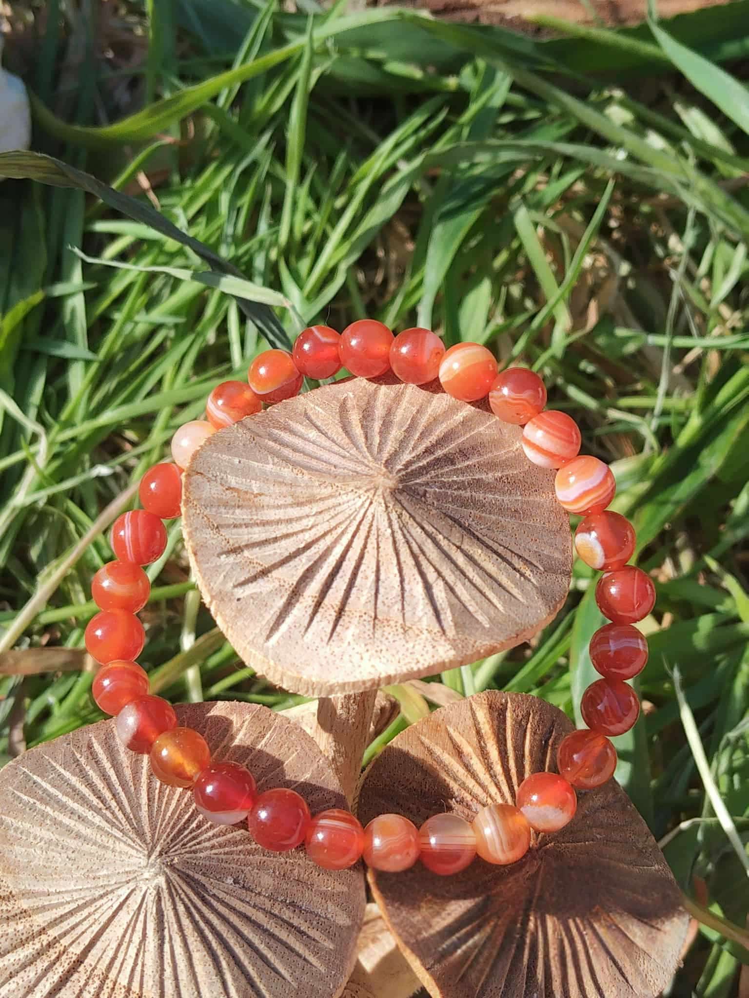 Bracelet cornaline 6 mm posé sur des champignons décoratifs, perles orange en pierre naturelle pour dynamisme, assurance et élan créatif