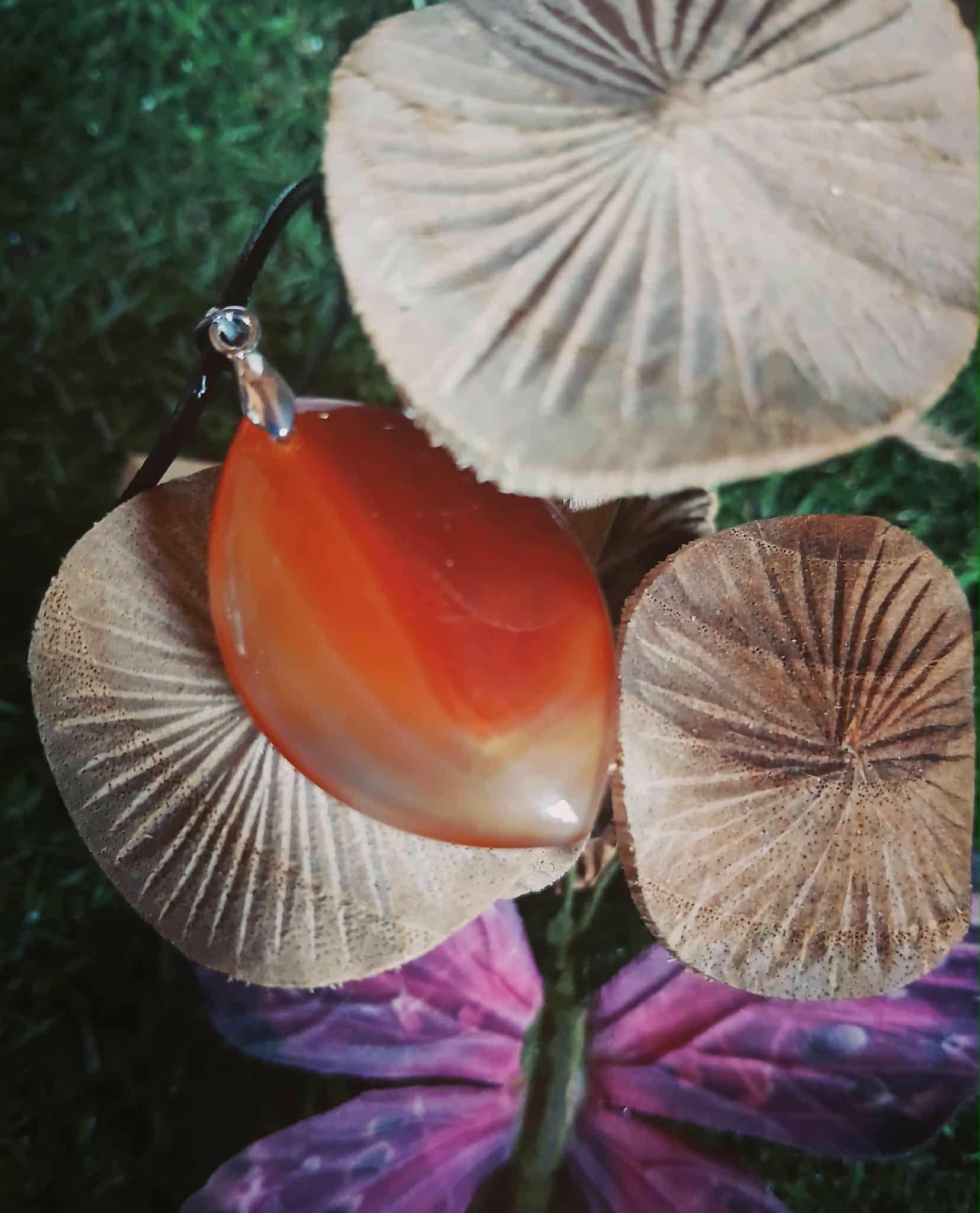 Pendentif en Cornaline naturelle au milieu de champignons décoratifs, bijou orange pour vitalité, créativité et concentration