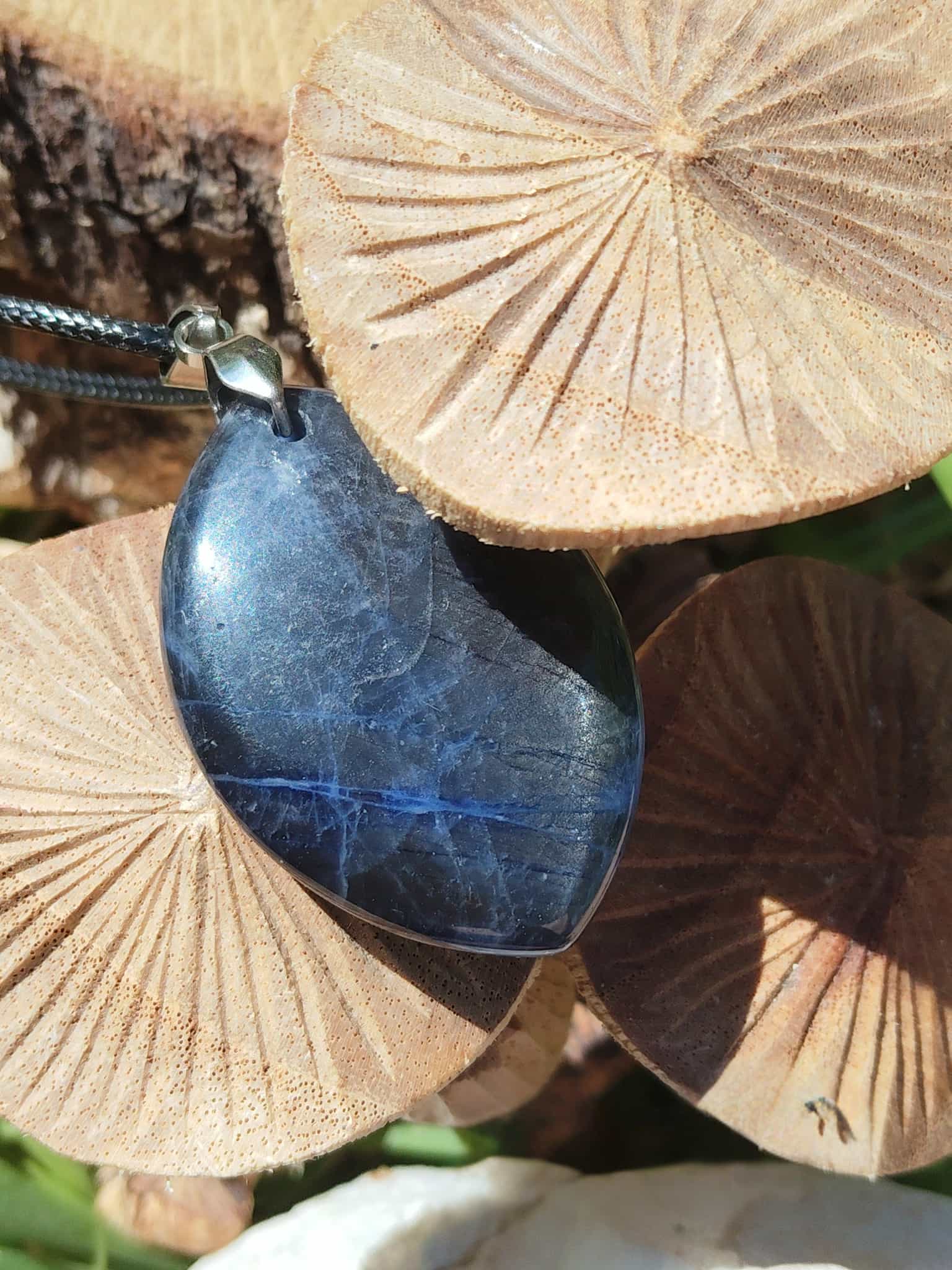 Pendentif sodalite bleue marquise posé sur champignons, bijou en pierre naturelle évoquant la lucidité, la tranquillité émotionnelle et la communication authentique.