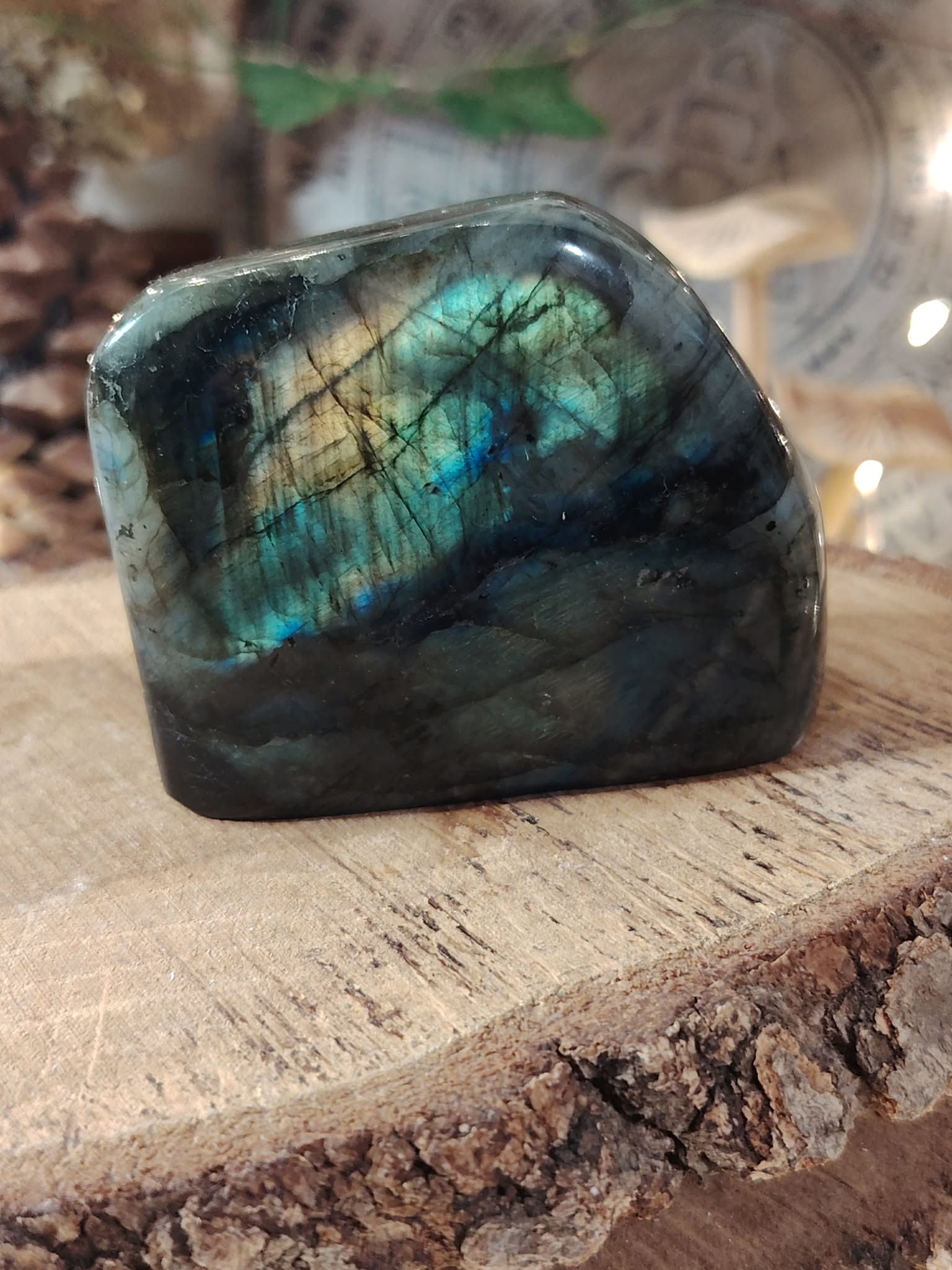 Labradorite forme libre sur rondin de bois, reflets bleu-vert et dorés, pierre naturelle associée à la stabilité, à la lucidité intérieure et à la protection subtile.