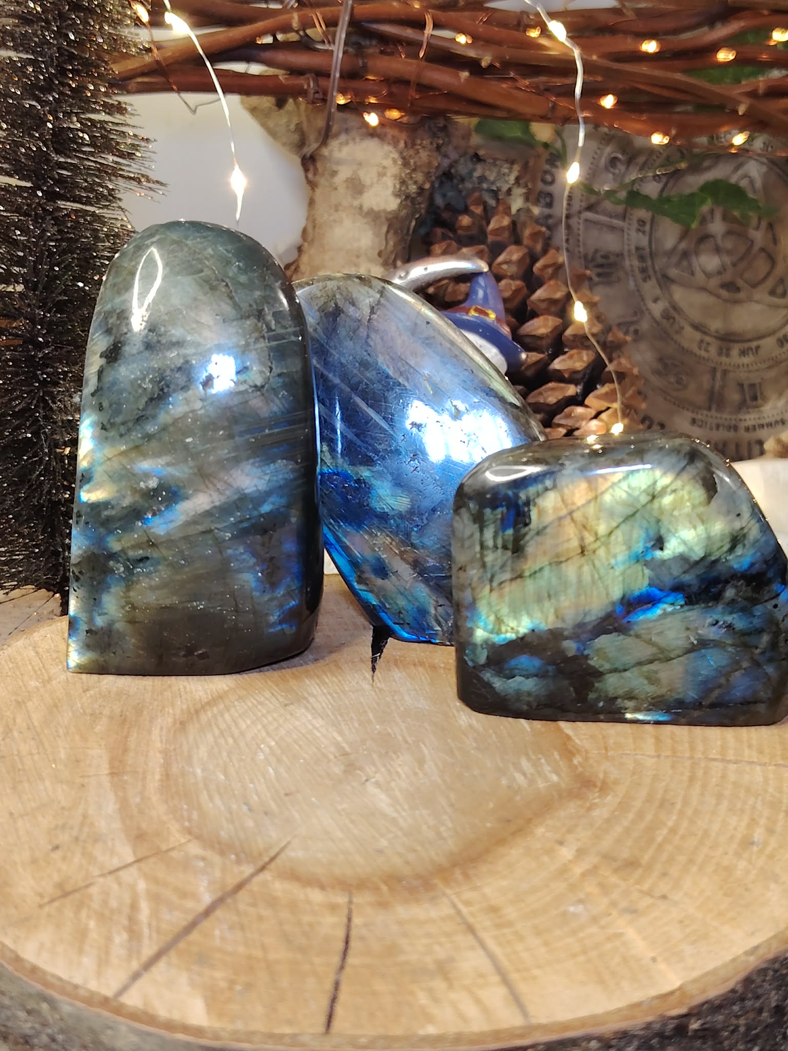 Labradorites forme libre aux reflets bleu électrique présentées sur tranche de bois, pierres naturelles associées à l’ancrage, à la vigilance intérieure et à la stabilité émotionnelle.