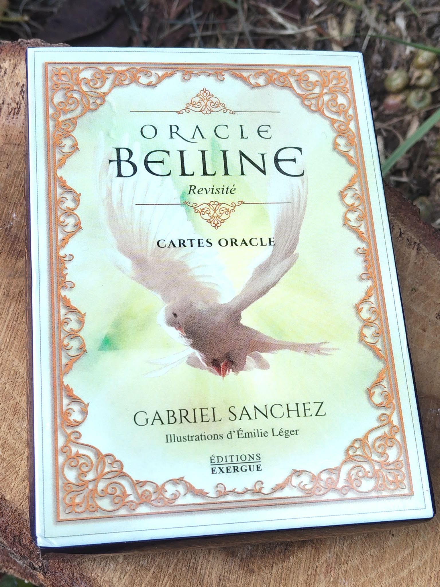 Oracle Belline revisité – boîte de cartes oracle vue de face, posée sur planche en bois, décor nature