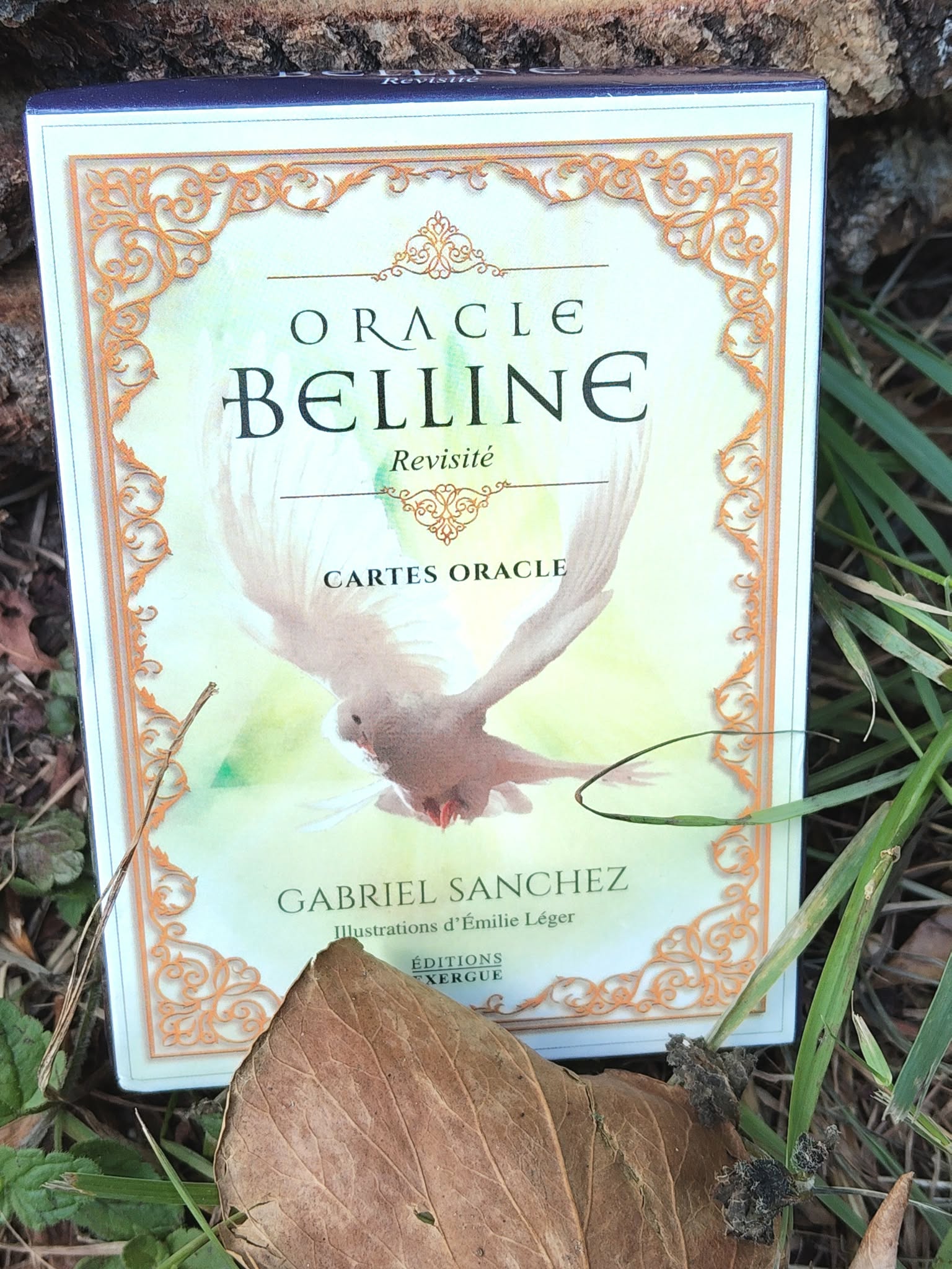 Oracle Belline revisité – boîte de cartes oracle en extérieur, herbe et feuille au premier plan, ambiance nature