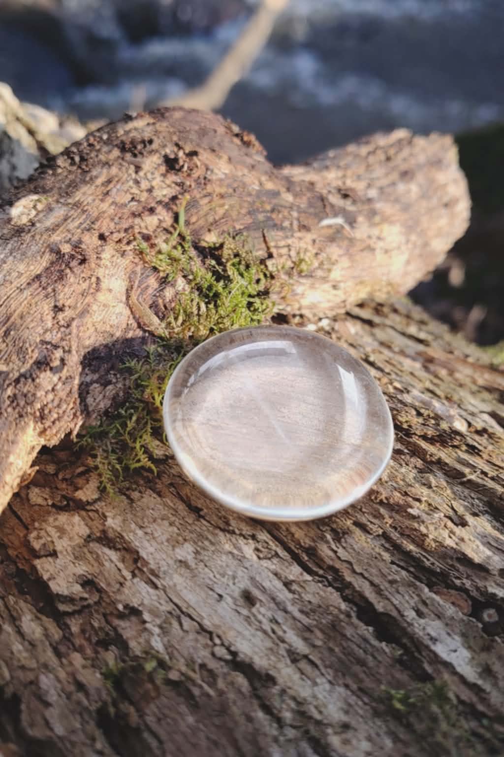 Galet cristal de roche poli posé sur écorce de bois avec mousse verte en Bretagne, pierre naturelle translucide associée à la clarté, au recentrage et à la pureté intérieure.
