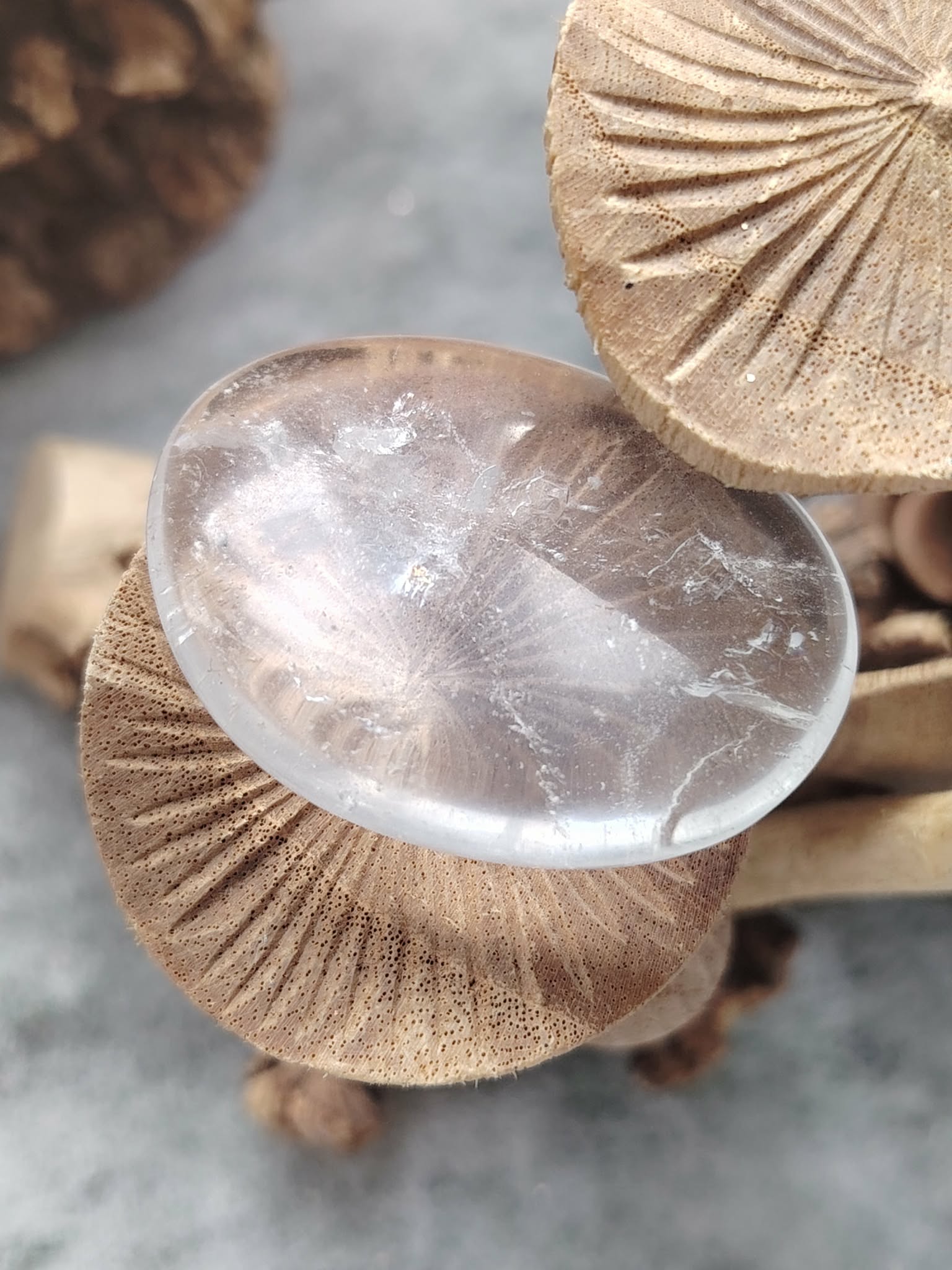 Galet de cristal de roche poli présenté sur supports en bois décoratifs, pierre roulée translucide avec inclusions naturelles évoquant la lucidité, la neutralité émotionnelle et la présence à soi.