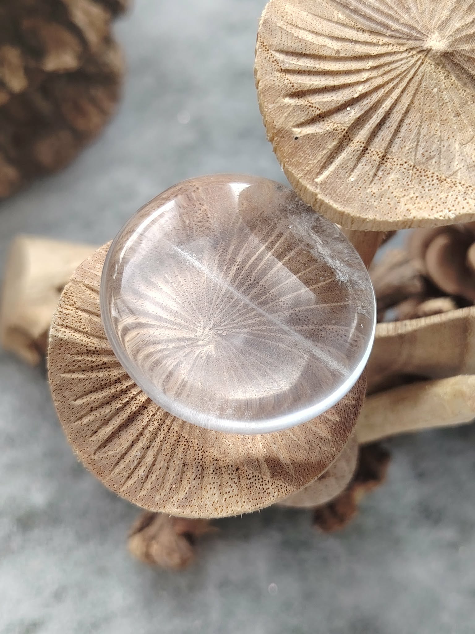 Galet cristal de roche poli avec inclusions naturelles, posé sur supports en bois sculpté en gros plan, pierre transparente associée à la netteté intérieure, à la concentration et au recentrage.