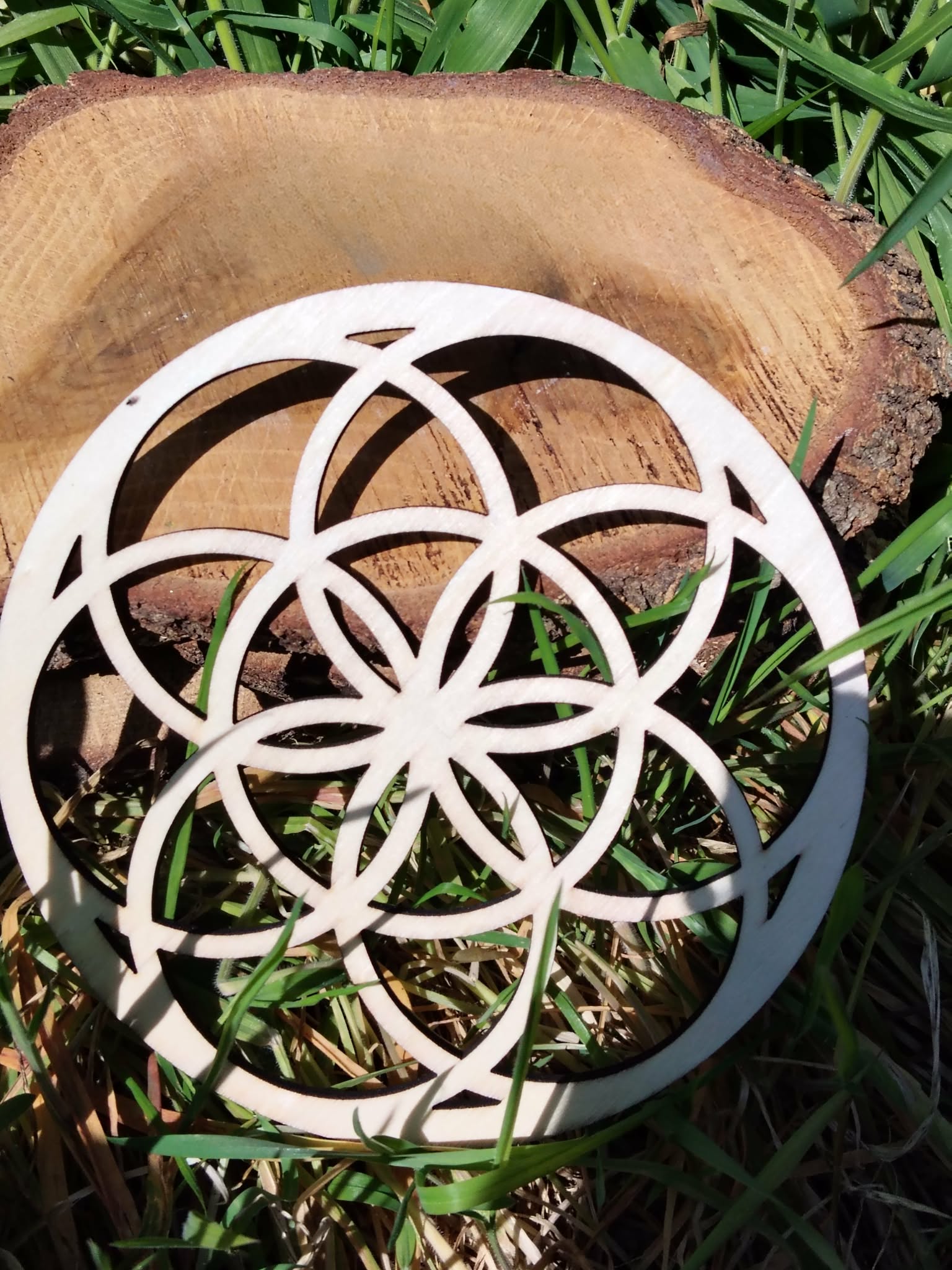 Plateau en bois Graine de Vie 15 cm posé sur une rondelle de bois, décor herbe verte en extérieur, lumière naturelle.