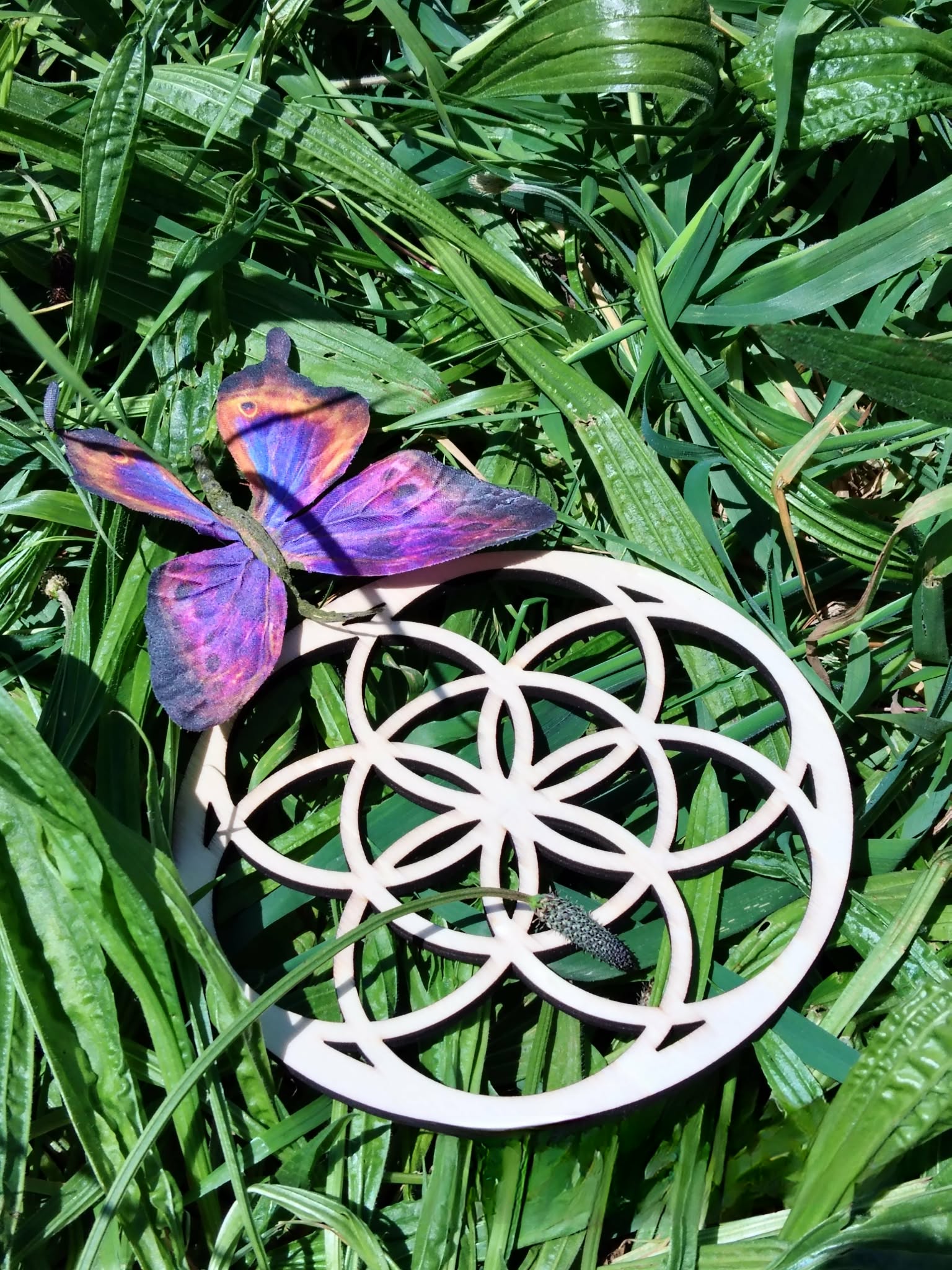 Symbole Graine de Vie en bois ajouré, support rond sur plantes vertes, papillon bleu violet, photo nature.