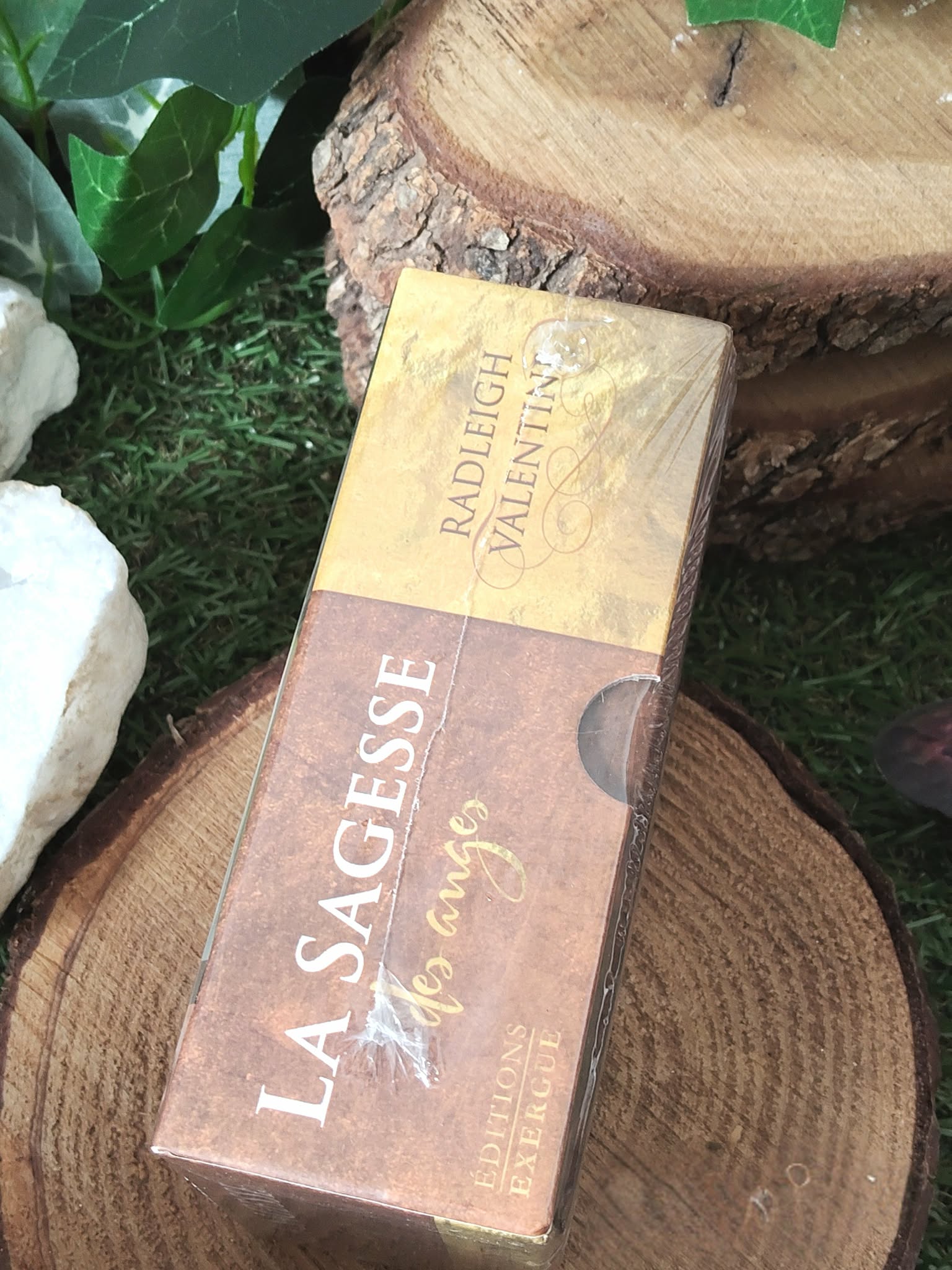 La Sagesse des Anges (Radleigh Valentine) : tranche de la boîte du tarot sur rondin de bois, décor végétal.