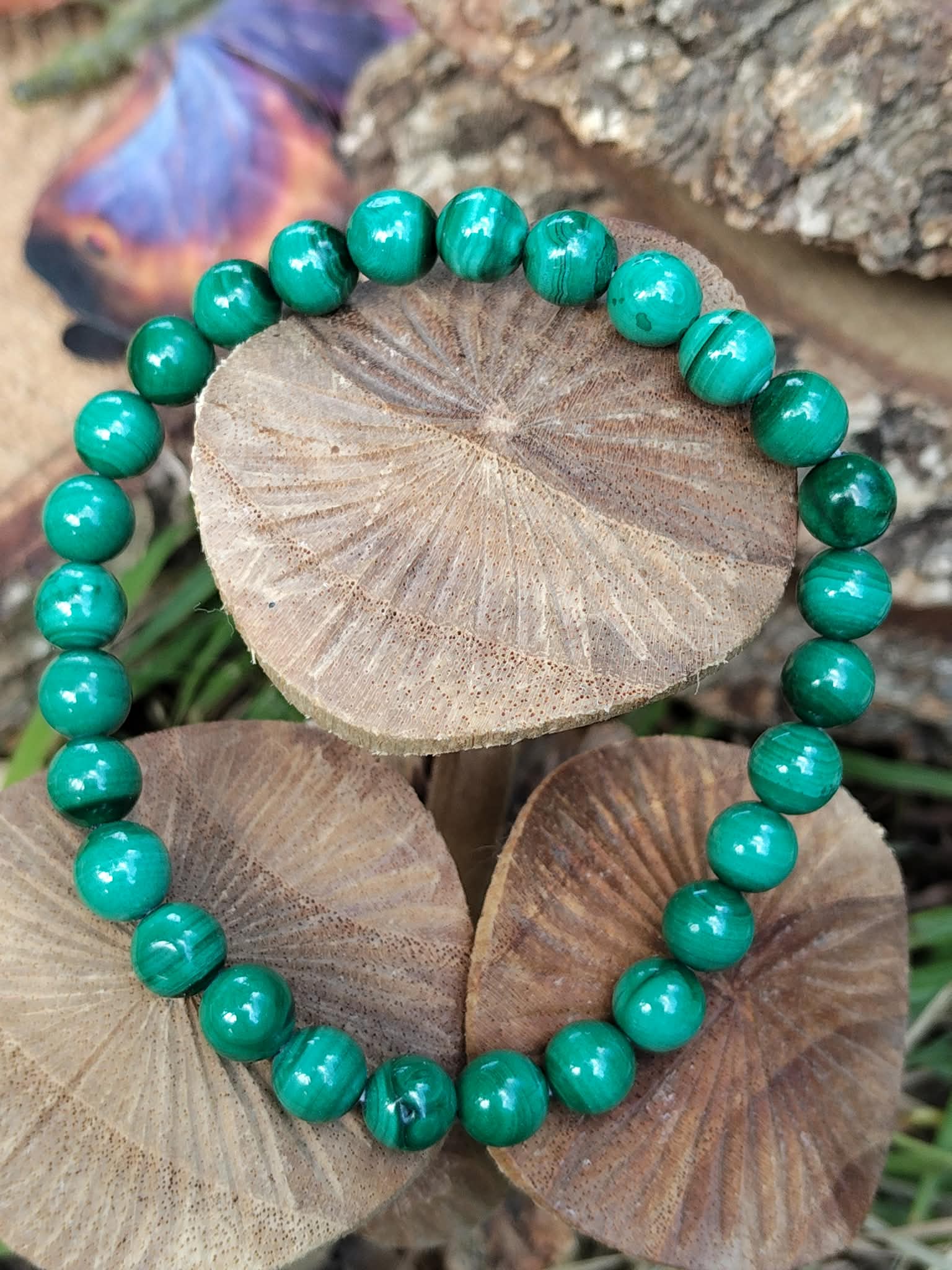 Bracelet malachite vert marbré posé sur champignons en bois, photo nature originale, bijou en pierre naturelle au rendu chaleureux.