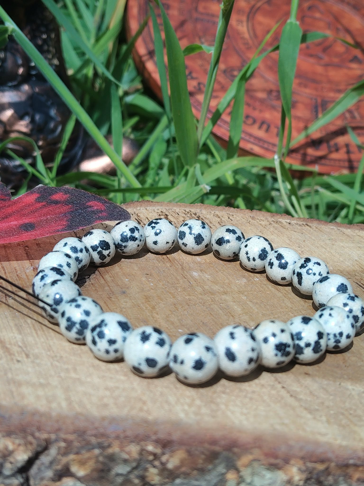 Bracelet pierre dalmatienne 6 mm sur planche en bois avec plantes vertes, perles crème sable et taches noires, lâcher-prise, confiance et stabilité