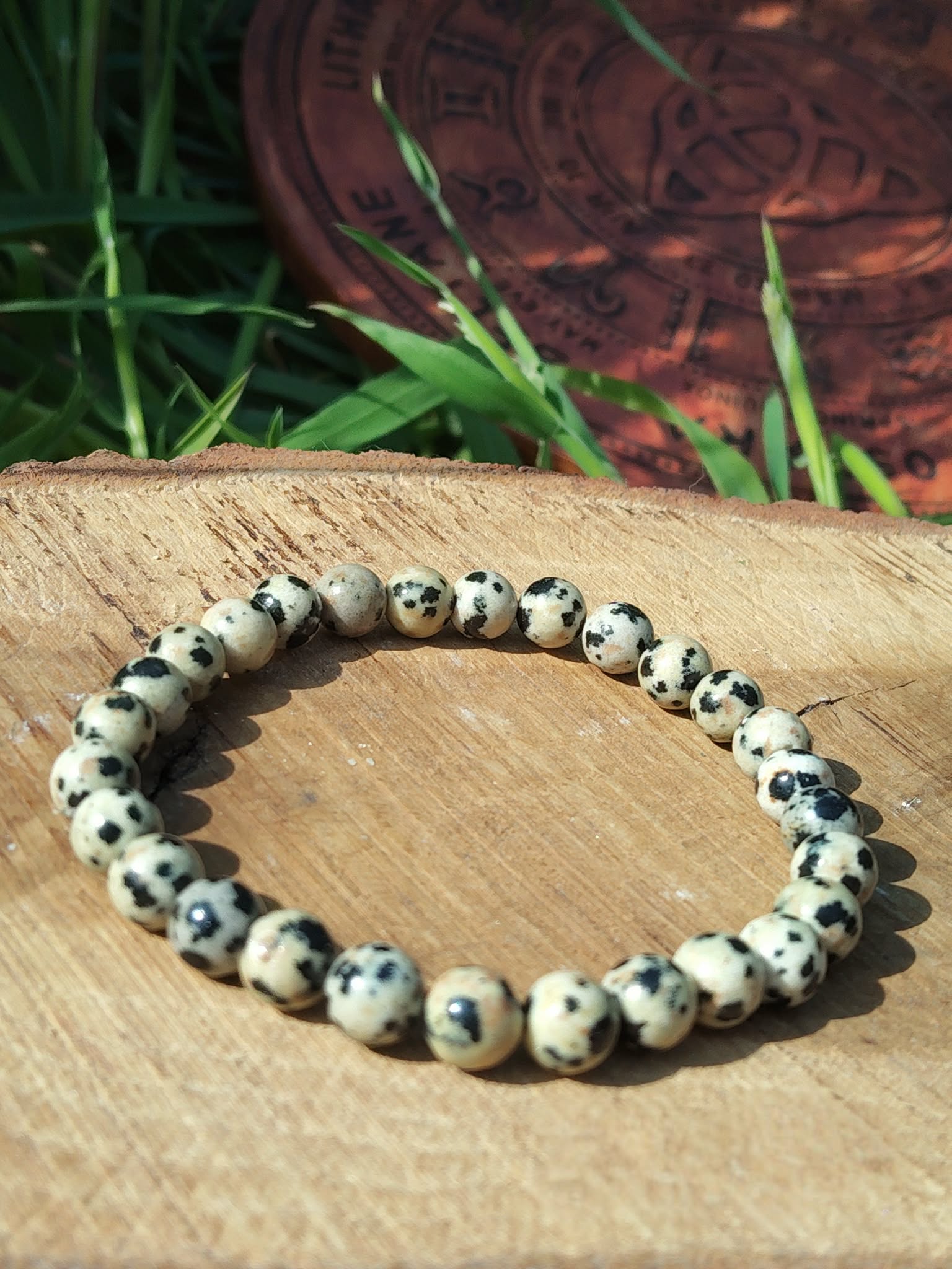 Bracelet jaspe dalmatien 6 mm sur bois avec herbes vertes, perles beige crème mouchetées de noir, assurance, souplesse et équilibre émotionnel