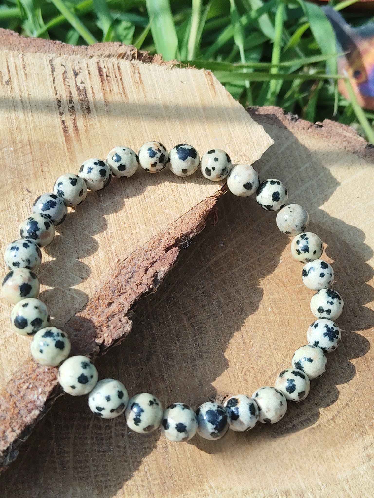 Bracelet pierre dalmatienne 6 mm sur bois avec feuillage vert, perles crème et beige clair tachetées de noir pour spontanéité, ancrage doux et confiance tranquille