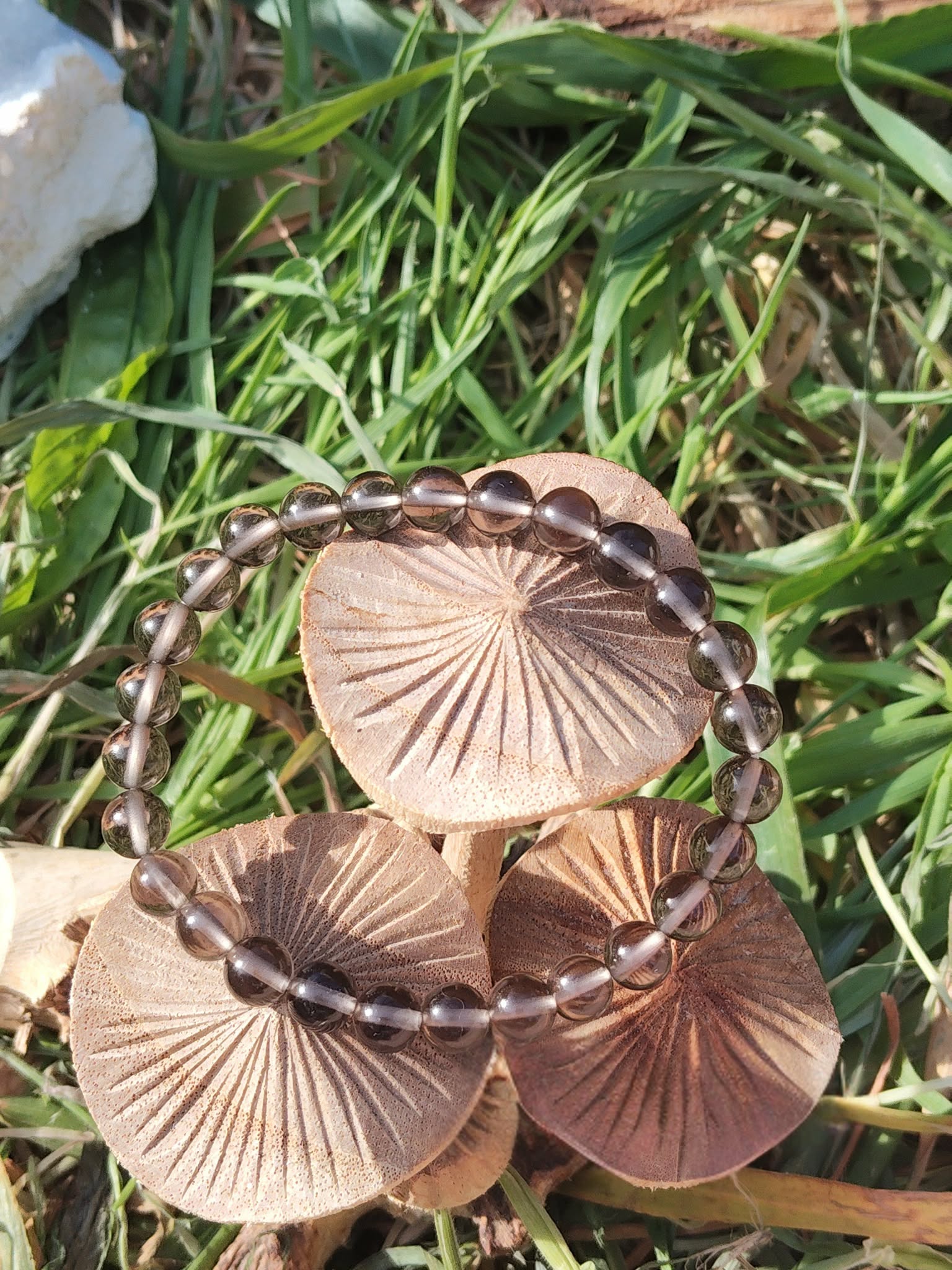 Bracelet obsidienne larme d’Apache 6 mm sur tranche de bois avec feuillage vert, lâcher-prise, calme du cœur et enracinement rassurant