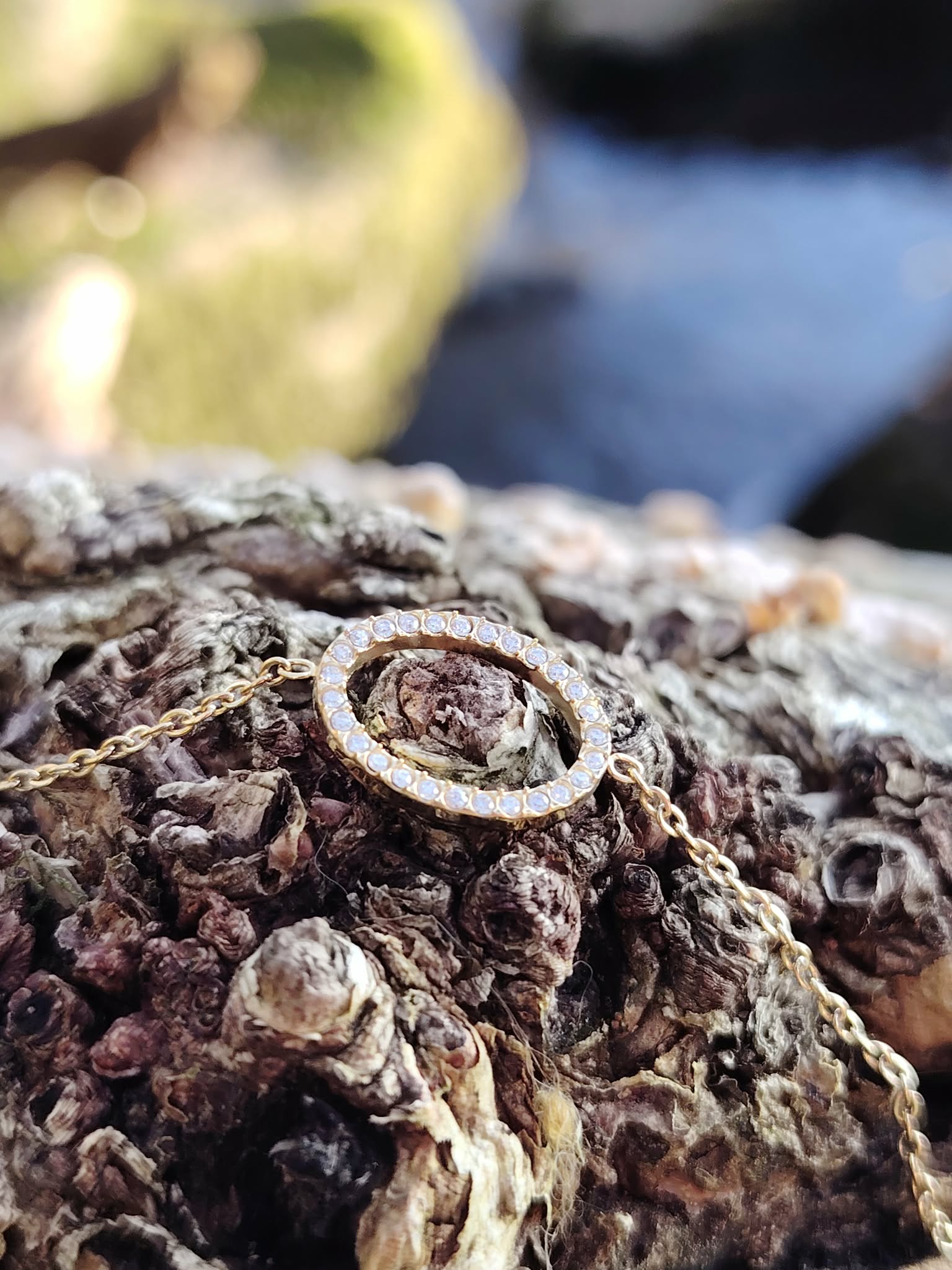 Bracelet chaîne dorée avec anneau ovale strass sur écorce texturée et petits cônes, photo nature, bijou acier inoxydable femme