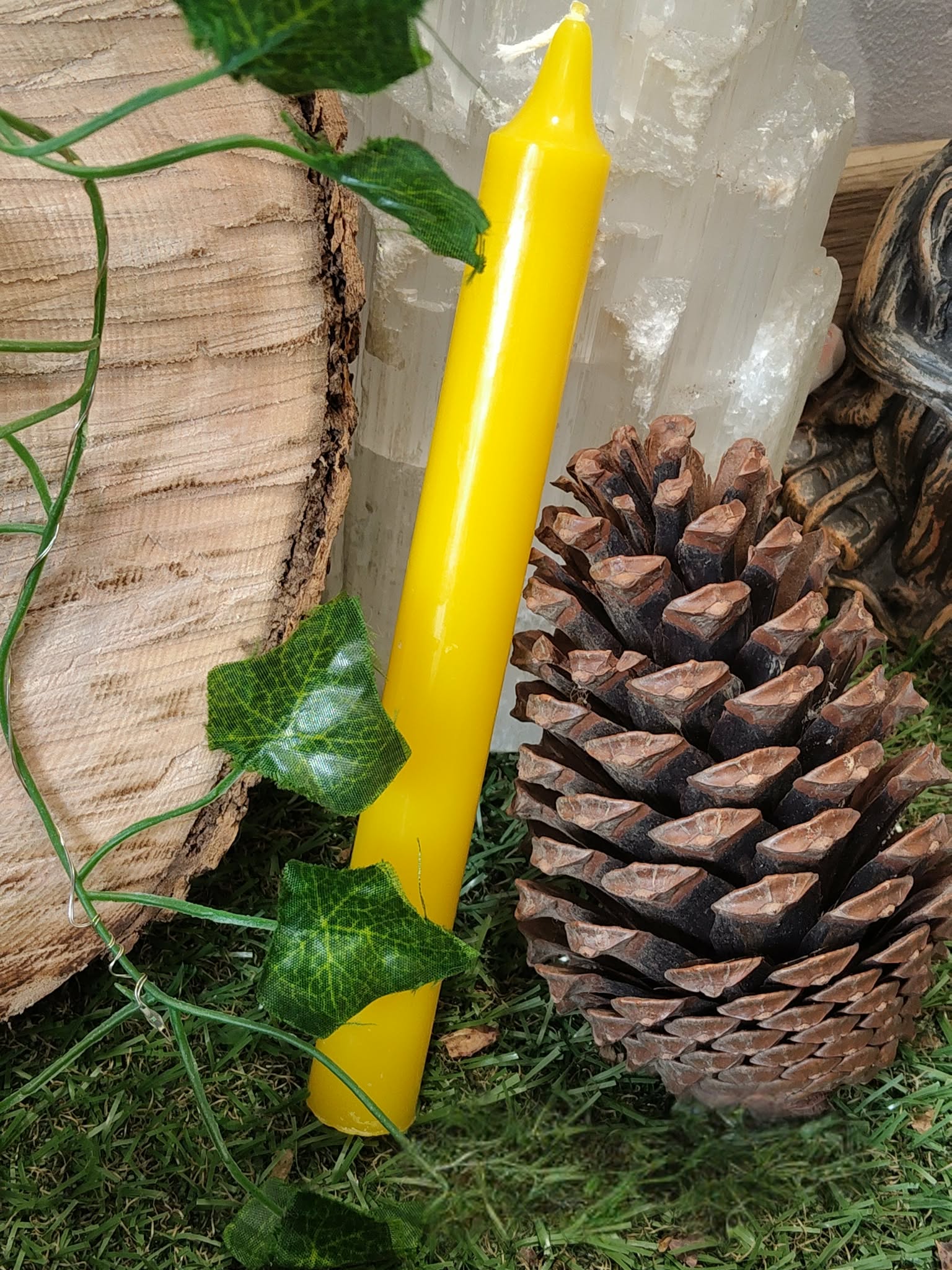 Bougie jaune décor nature (bois, pomme de pin, lierre, mousse), clarté, joie, énergie solaire.