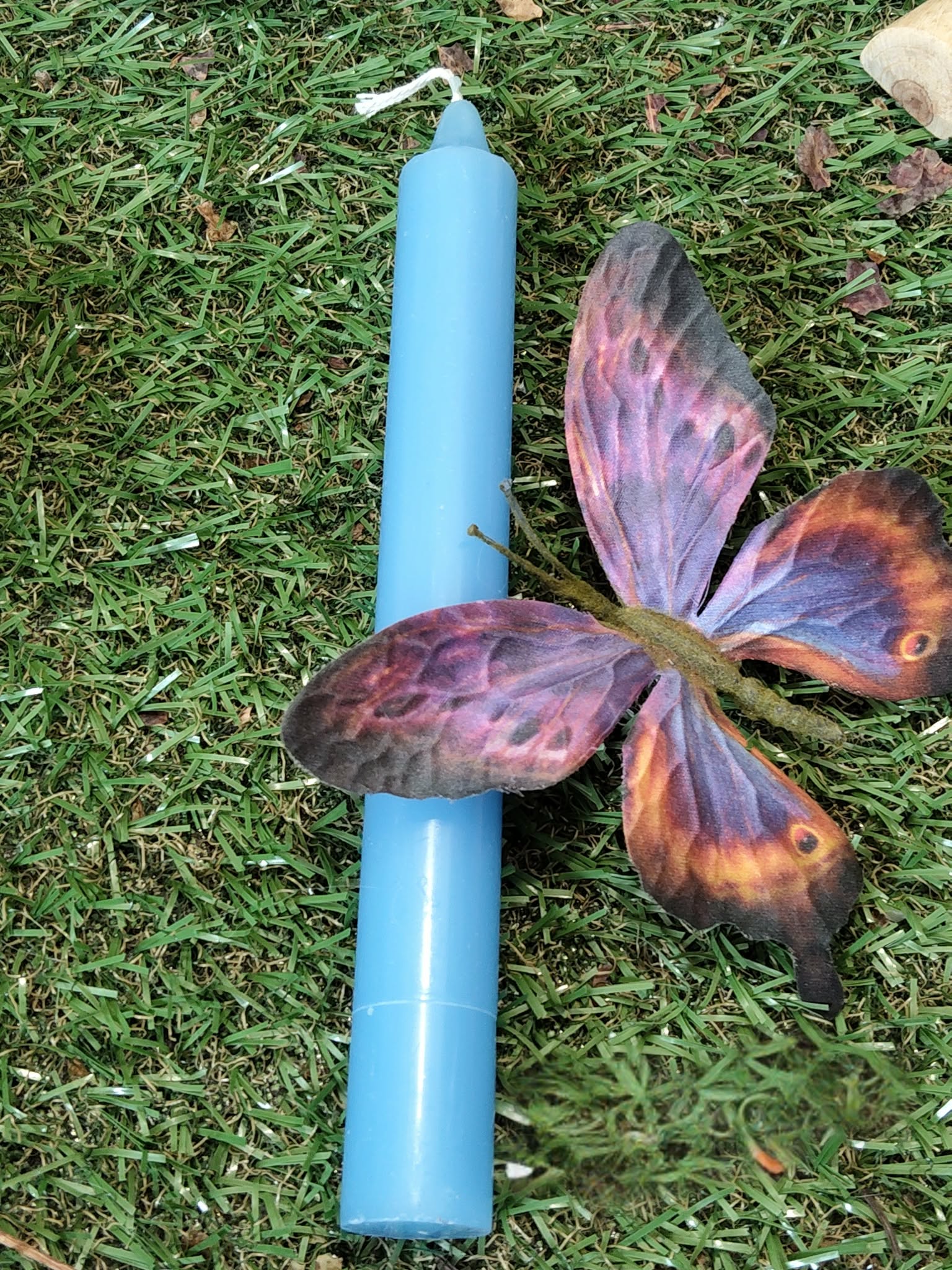 Bougie bleue dans la mousse avec papillon violet-orange; apaisement, sérénité, expression.