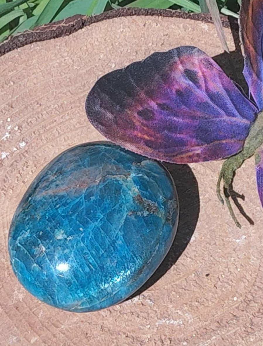 Pierre roulée d’apatite bleue bleu lagon veinée, posée près d’un champignon décoratif violet et bleu sur fond neutre, pierre naturelle évoquant la créativité, la justesse intérieure et l’apaisement.