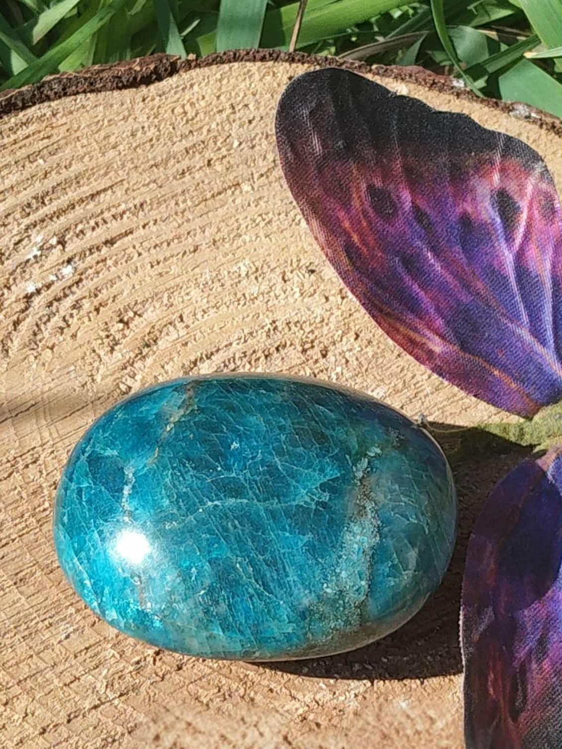 Galet d’apatite bleue polie ovale posé sur tranche de bois avec feuillage, pierre naturelle associée à la clarté d’esprit, à l’expression sincère et à l’élan intérieur.