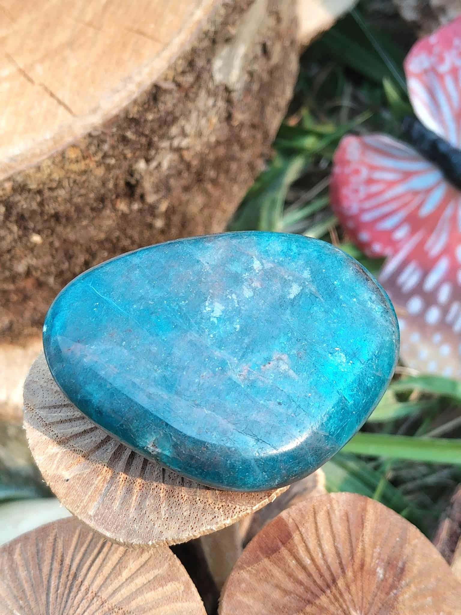 Galet d’apatite bleue poli sur champignons en bois et feuillage, pierre naturelle associée à la créativité, à la souplesse émotionnelle et à la parole apaisée.