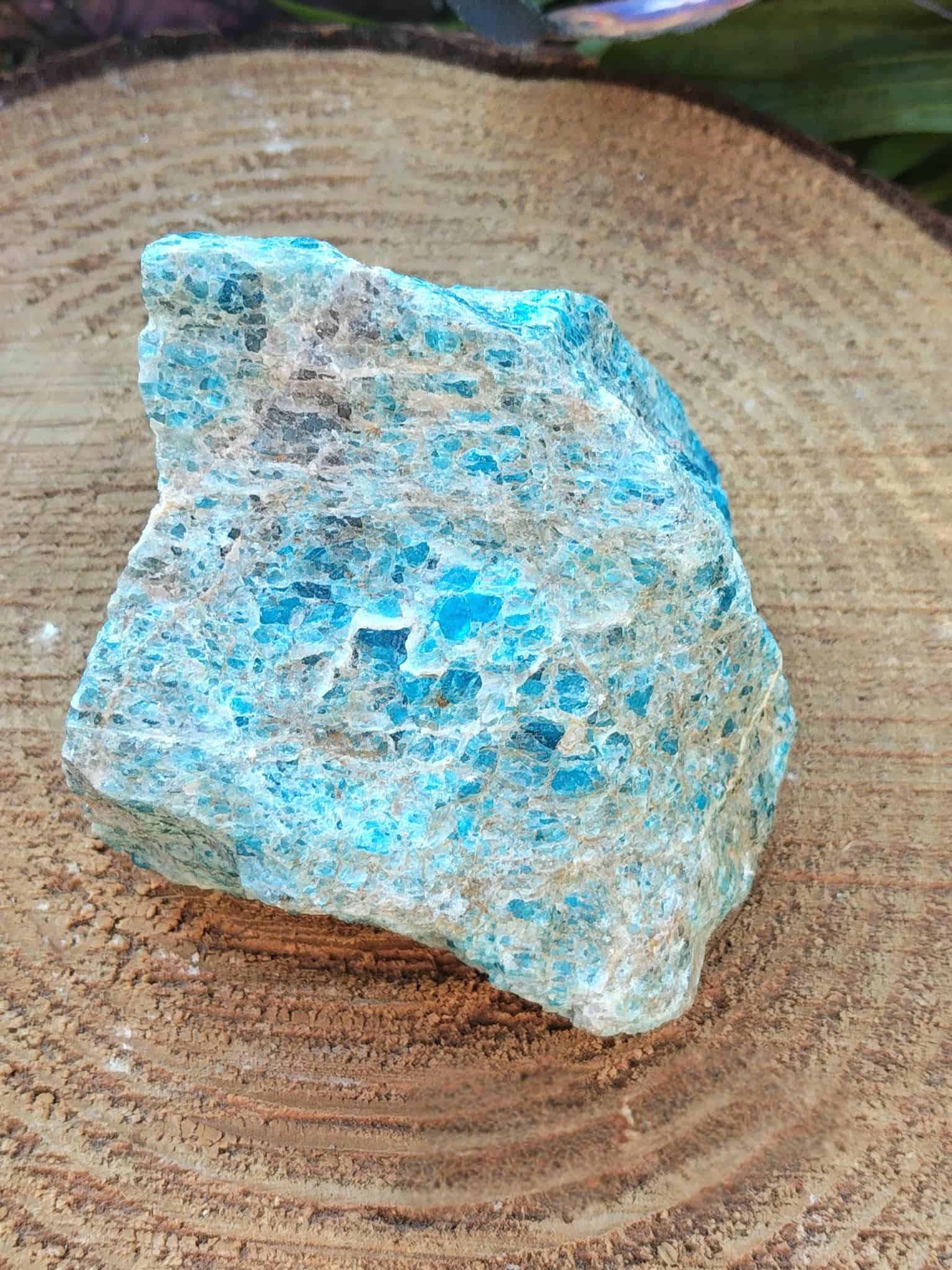 Apatite bleue brute sur rondin en bois aux éclats bleu lagon, pierre naturelle associée à la fraîcheur mentale, à l’inspiration et à la justesse intérieure.