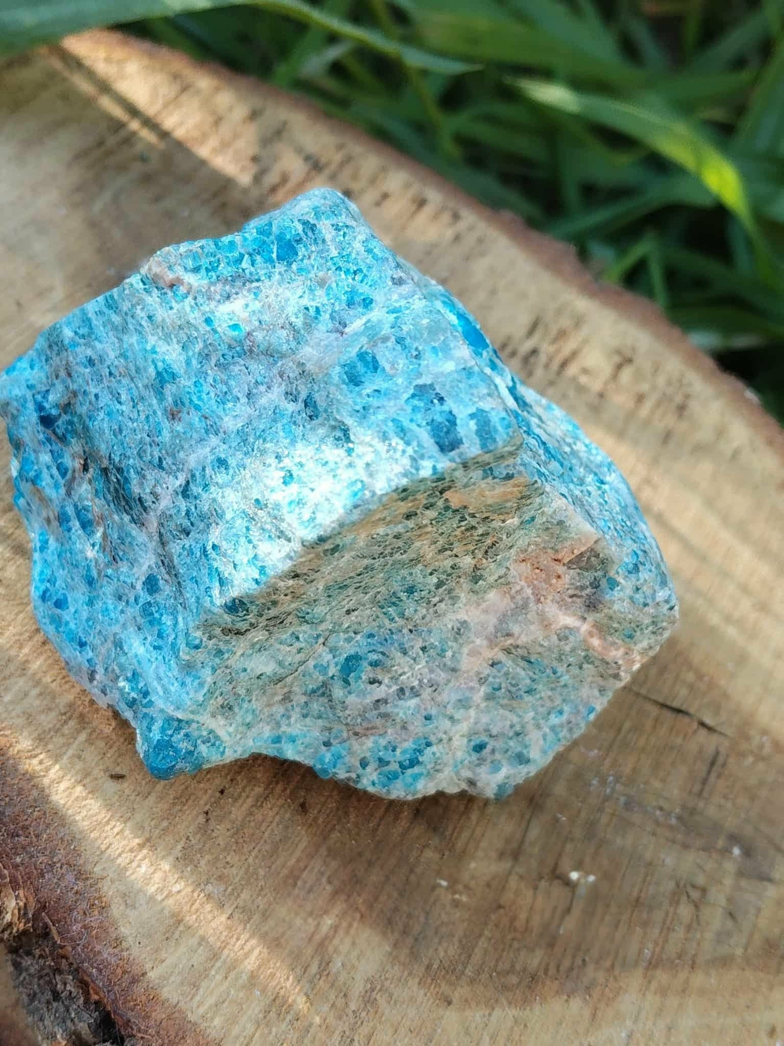 Apatite bleue brute sur rondin de bois avec décor végétal vert, pierre naturelle évoquant la motivation douce, le discernement et l’expression apaisée.
