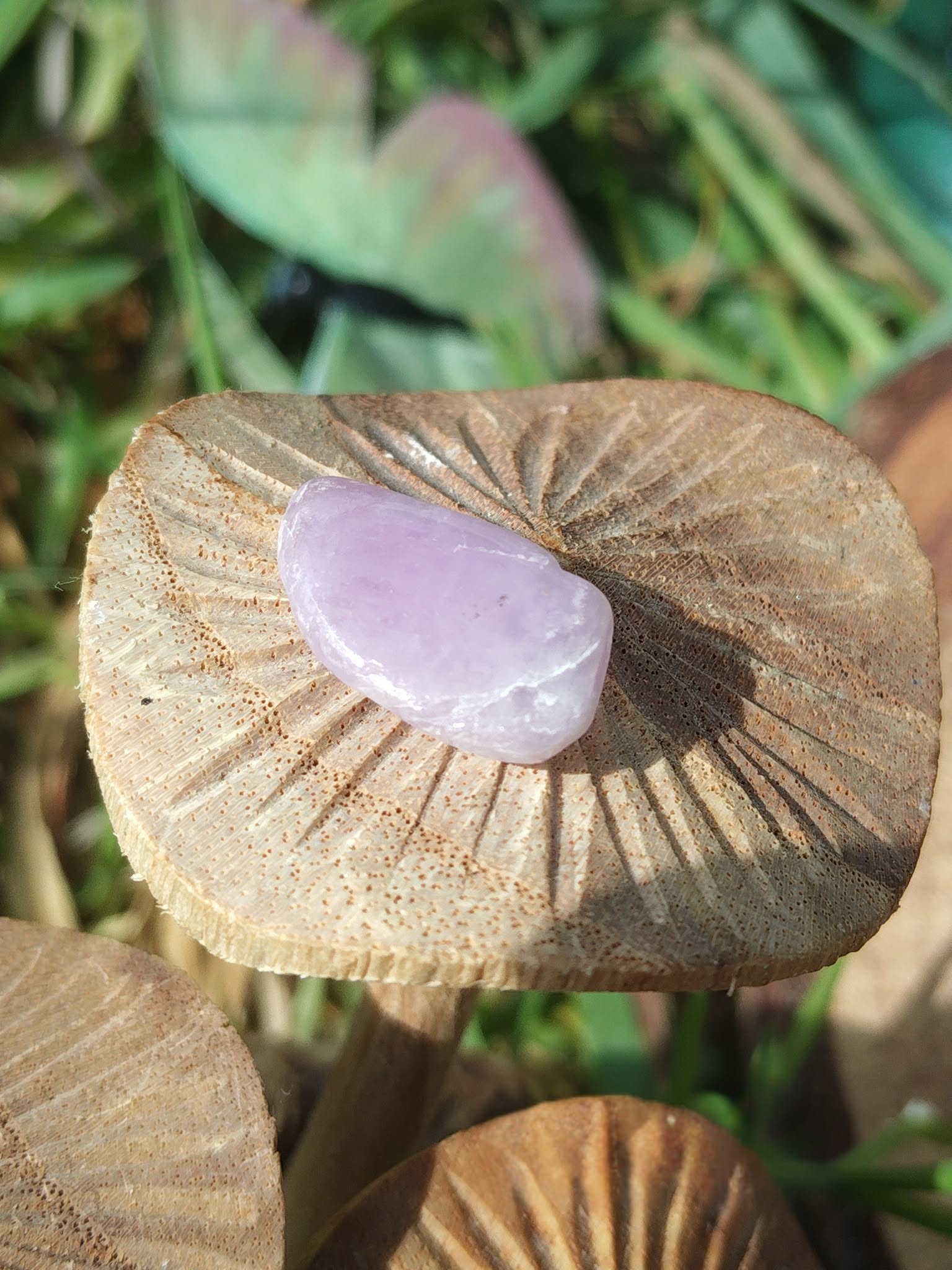 Pierre roulée de kunzite rose pâle posée sur décor de champignons en bois et feuillage vert, galet poli associé à la tendresse, au réconfort et à la douceur intérieure.