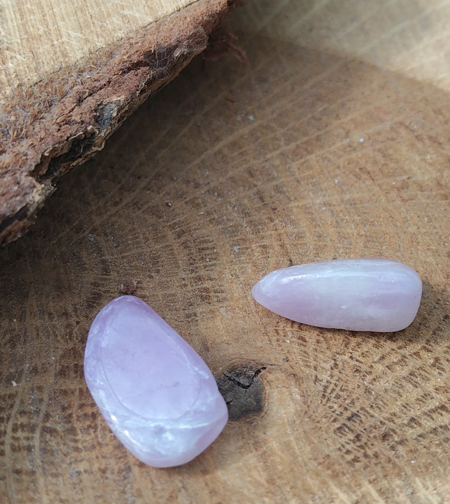 Deux pierres roulées de kunzite rose très pâle aux reflets laiteux, déposées sur support en bois brut, pierres naturelles évoquant le calme intérieur, le lâcher-prise et la douceur affective.