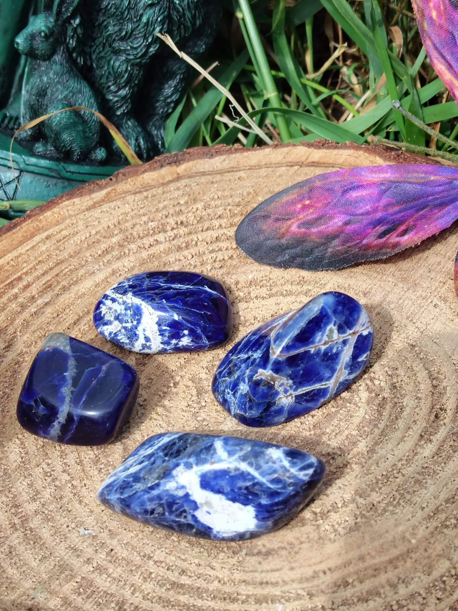 Pierres roulées de sodalite bleu profond veinées de blanc sur rondin de bois avec herbe et pierre claire, galets naturels associés à la sérénité, au discernement et à l’équilibre émotionnel.