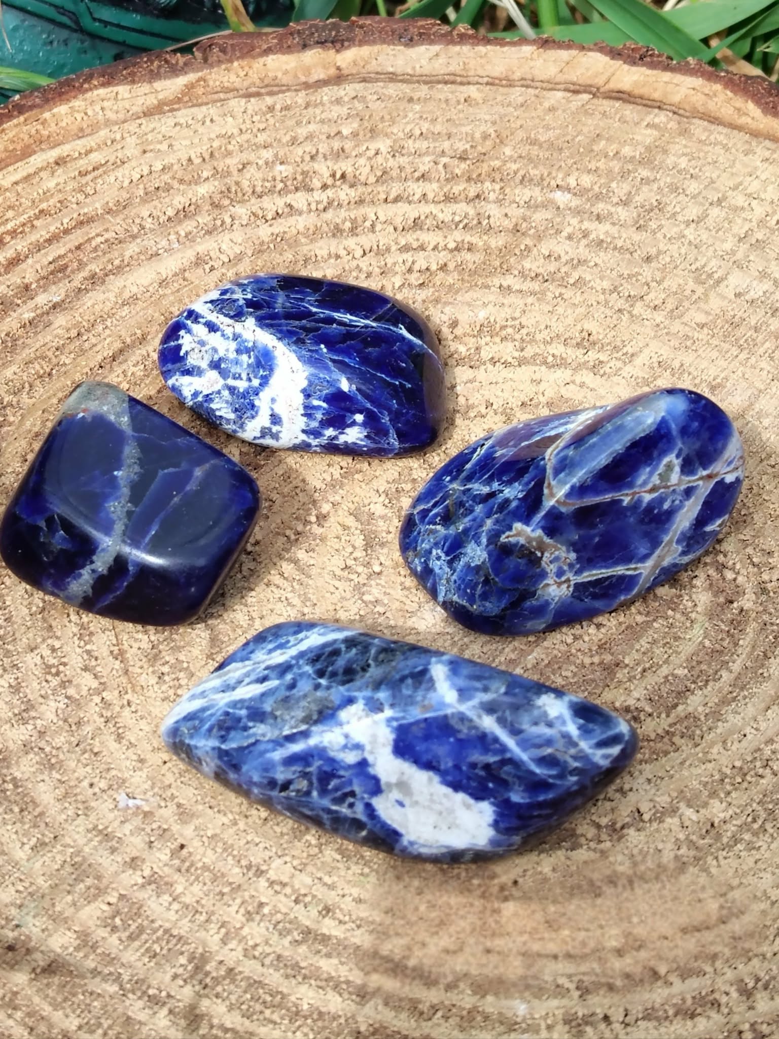 Quatre sodalites roulées bleu profond aux veines blanches sur tranche de bois clair en décor naturel, pierres naturelles liées à l’ordre des pensées, à la justesse d’expression et à la stabilité intérieure.